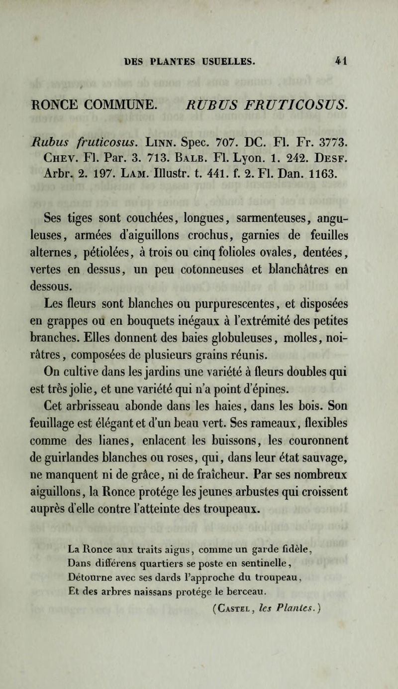 RONCE COMMUNE. RUBUS FRUTICOSUS. Rubus fruticosus. Linn. Spec. 707. DC. Fl. Fr. 3773. Chev. Fl. Par. 3. 713. Balb. Fl. Lyon. 1. 242. Desf. Arbr. 2. 197. Lam. Ulustr. t. 441. f. 2. Fl. Dan. 1163. Ses tiges sont couchées, longues, sarmenteuses, angu¬ leuses, armées d’aiguillons crochus, garnies de feuilles alternes, pétiolées, à trois ou cinq folioles ovales, dentées, vertes en dessus, un peu cotonneuses et blanchâtres en dessous. Les fleurs sont blanches ou purpurescentes, et disposées en grappes ou en bouquets inégaux à l’extrémité des petites branches. Elles donnent des baies globuleuses, molles, noi¬ râtres , composées de plusieurs grains réunis. On cultive dans les jardins une variété à fleurs doubles qui est très jolie, et une variété qui n’a point d’épines. Cet arbrisseau abonde dans les haies, dans les bois. Son feuillage est élégant et d’un beau vert. Ses rameaux, flexibles comme des lianes, enlacent les buissons, les couronnent de guirlandes blanches ou roses, qui, dans leur état sauvage, ne manquent ni de grâce, ni de fraîcheur. Par ses nombreux aiguillons, la Ronce protège les jeunes arbustes qui croissent auprès d’elle contre l’atteinte des troupeaux. La Ronce aux traits aigus, comme un garde fidèle, Dans différens quartiers se poste en sentinelle, Détourne avec ses dards l’approche du troupeau. Et des arbres naissans protège le berceau. (Castel, les Plantes.)