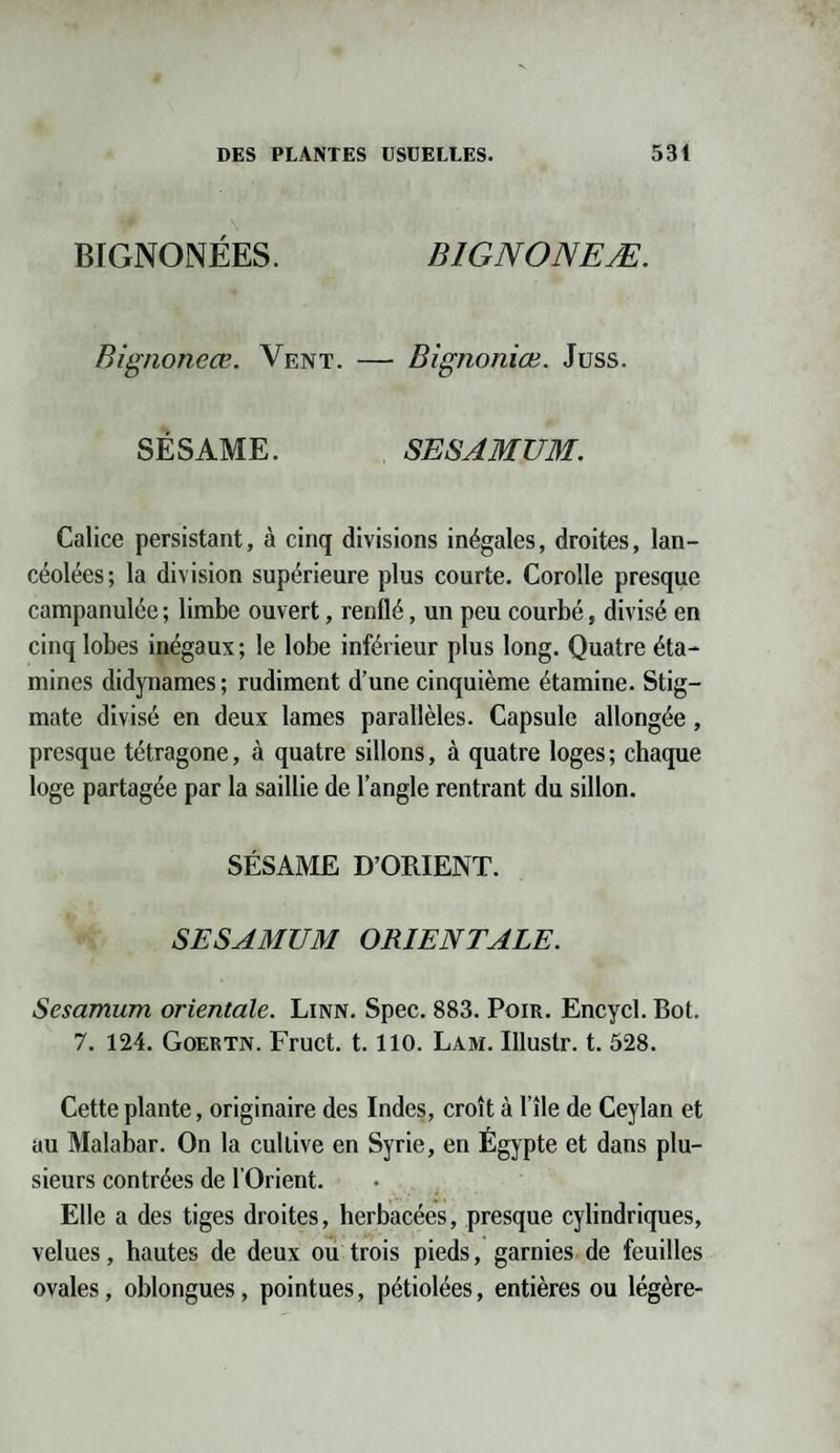 BIGNONÉES. B1GNONEÆ. Bignoneœ. Vent. — Bignoniæ. Juss. SÉSAME. SESAMUM. Calice persistant, à cinq divisions inégales, droites, lan¬ céolées; la division supérieure plus courte. Corolle presque campanulée ; limbe ouvert, renflé, un peu courbé, divisé en cinq lobes inégaux; le lobe inférieur plus long. Quatre éta¬ mines didynames ; rudiment d’une cinquième étamine. Stig¬ mate divisé en deux lames parallèles. Capsule allongée, presque tétragone, à quatre sillons, à quatre loges ; chaque loge partagée par la saillie de l’angle rentrant du sillon. SÉSAME D’ORIENT. SESAMUM ORIENTALE. Sesamum orientale. Linn. Spec. 883. Poir. Encycl. Bot. 7. 124. Goertn. Fruct. 1.110. Lam. Illustr. t. 528. Cette plante, originaire des Indes, croît à File de Ceylan et au Malabar. On la cultive en Syrie, en Égypte et dans plu¬ sieurs contrées de l’Orient. Elle a des tiges droites, herbacées, presque cylindriques, velues, hautes de deux ou trois pieds, garnies de feuilles ovales, oblongues, pointues, pétiolées, entières ou légère-