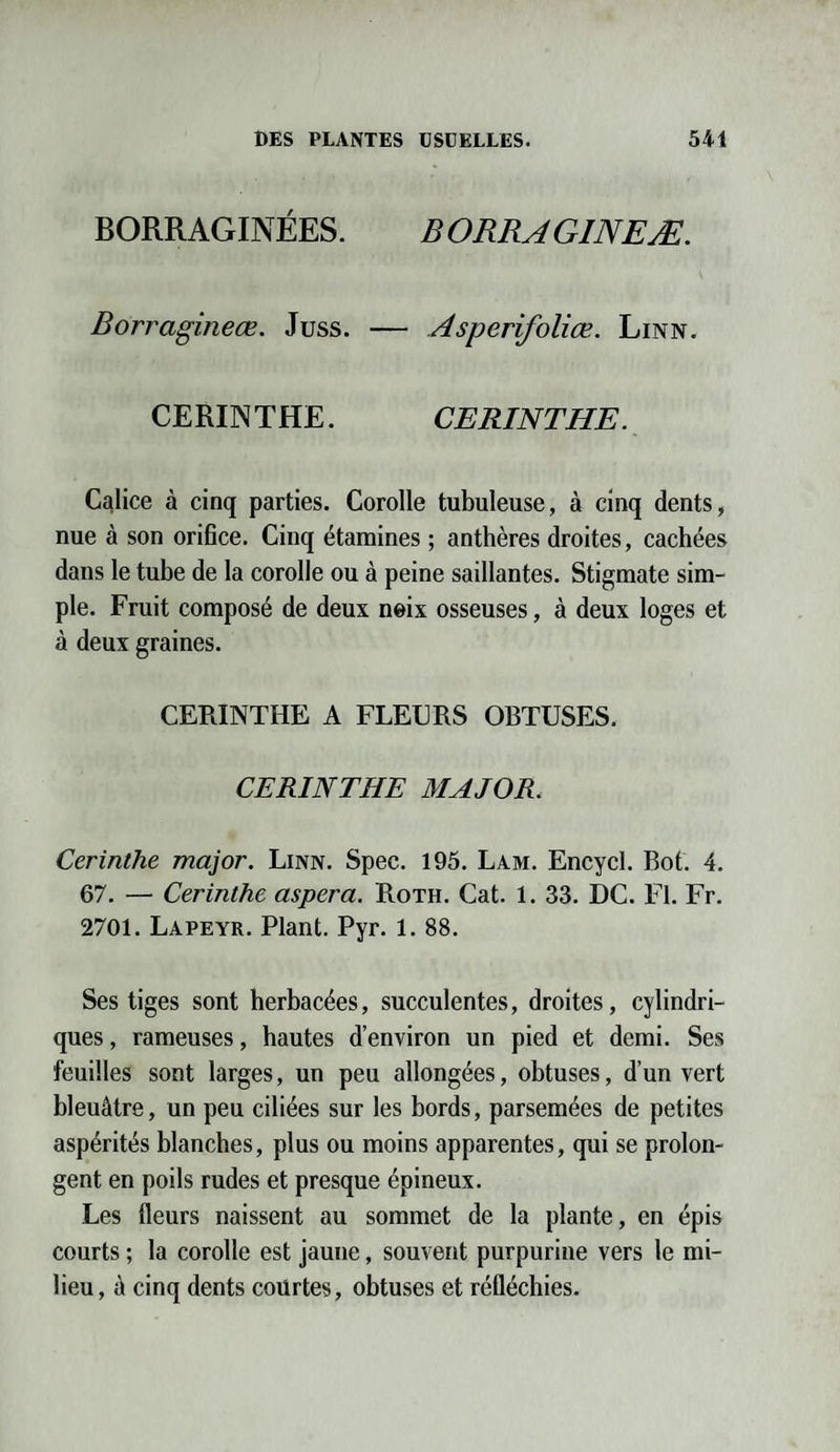 BORRAGINÉES. BORRAG1NEÆ. Borragineœ. Juss. — Asperifoliœ. Linn. CERINTHE. CERINTHE. Calice à cinq parties. Corolle tubuleuse, à cinq dents, nue à son orifice. Cinq étamines ; anthères droites, cachées dans le tube de la corolle ou à peine saillantes. Stigmate sim¬ ple. Fruit composé de deux neix osseuses, à deux loges et à deux graines. CERINTHE A FLEURS OBTUSES. CERINTHE MAJOR. Cerinthe major. Linn. Spec. 195. Lam. Encycl. Bot. 4. 67. — Cerinthe aspera. Roth. Cat. 1. 33. DC. Fl. Fr. 2701. Lapeyr. Plant. Pyr. 1. 88. Ses tiges sont herbacées, succulentes, droites, cylindri¬ ques , rameuses, hautes d’environ un pied et demi. Ses feuilles sont larges, un peu allongées, obtuses, d’un vert bleuâtre, un peu ciliées sur les bords, parsemées de petites aspérités blanches, plus ou moins apparentes, qui se prolon¬ gent en poils rudes et presque épineux. Les fleurs naissent au sommet de la plante, en épis courts ; la corolle est jaune, souvent purpurine vers le mi¬ lieu , à cinq dents courtes, obtuses et réfléchies.