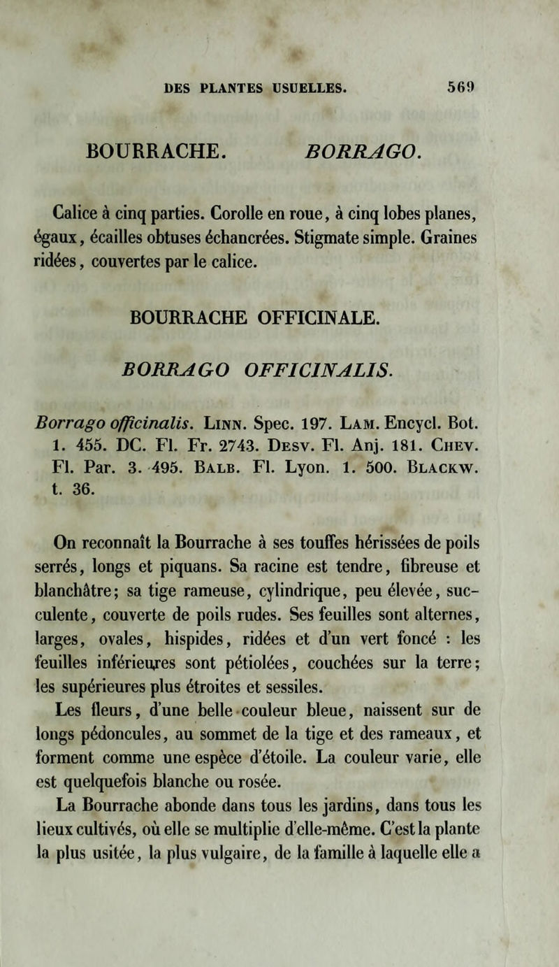 BOURRACHE. BORRAGO. Calice à cinq parties. Corolle en roue, à cinq lobes planes, égaux, écailles obtuses échancrées. Stigmate simple. Graines ridées, couvertes par le calice. BOURRACHE OFFICINALE. BORRAGO OFFIC1NALIS. Borrago officinalis. Linn. Spec. 197. Lam. Encycl. Bot. 1. 455. DC. Fl. Fr. 2743. Desv. Fl. Anj. 181. Chev. Fl. Par. 3. 495. Balb. Fl. Lyon. 1. 500. Blackw. t. 36. On reconnaît la Bourrache à ses touffes hérissées de poils serrés, longs et piquans. Sa racine est tendre, fibreuse et blanchâtre ; sa tige rameuse, cylindrique, peu élevée, suc¬ culente , couverte de poils rudes. Ses feuilles sont alternes, larges, ovales, hispides, ridées et d’un vert foncé : les feuilles inférieures sont pétiolées, couchées sur la terre; les supérieures plus étroites et sessiles. Les fleurs, d’une belle couleur bleue, naissent sur de longs pédoncules, au sommet de la tige et des rameaux, et forment comme une espèce d’étoile. La couleur varie, elle est quelquefois blanche ou rosée. La Bourrache abonde dans tous les jardins, dans tous les lieux cultivés, où elle se multiplie d’elle-même. C’est la plante la plus usitée, la plus vulgaire, de la famille à laquelle elle a