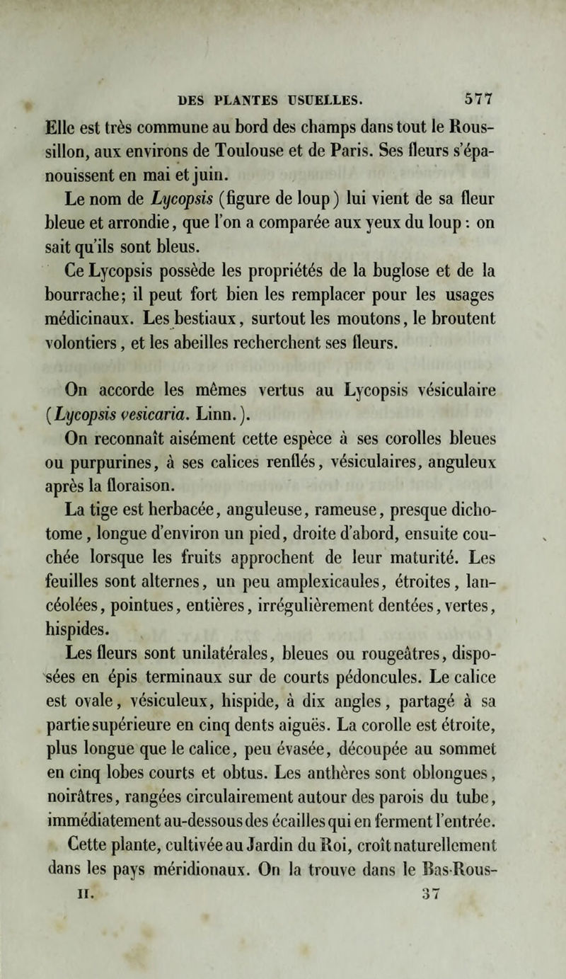 Elle est très commune au bord des champs dans tout le Rous¬ sillon, aux environs de Toulouse et de Paris. Ses fleurs s’épa¬ nouissent en mai et juin. Le nom de Lycopsis (figure de loup) lui vient de sa fleur bleue et arrondie, que l’on a comparée aux yeux du loup : on sait qu’ils sont bleus. Ce Lycopsis possède les propriétés de la buglose et de la bourrache; il peut fort bien les remplacer pour les usages médicinaux. Les bestiaux, surtout les moutons, le broutent volontiers, et les abeilles recherchent ses fleurs. On accorde les mêmes vertus au Lycopsis vésiculaire (Lycopsis vcsicaria. Linn.). On reconnaît aisément cette espèce à ses corolles bleues ou purpurines, à ses calices renflés, vésiculaires, anguleux après la floraison. La tige est herbacée, anguleuse, rameuse, presque dicho- tome, longue d’environ un pied, droite d’abord, ensuite cou¬ chée lorsque les fruits approchent de leur maturité. Les feuilles sont alternes, un peu amplexicaules, étroites, lan¬ céolées , pointues, entières, irrégulièrement dentées, vertes, hispides. Les fleurs sont unilatérales, bleues ou rougeâtres, dispo¬ sées en épis terminaux sur de courts pédoncules. Le calice est ovale, vésiculeux, hispide, à dix angles, partagé à sa partie supérieure en cinq dents aiguës. La corolle est étroite, plus longue que le calice, peu évasée, découpée au sommet en cinq lobes courts et obtus. Les anthères sont oblongues, noirâtres, rangées circulairement autour des parois du tube, immédiatement au-dessous des écailles qui en ferment l’entrée. Cette plante, cultivée au Jardin du Roi, croît naturellement dans les pays méridionaux. On la trouve dans le Bas-Rous- II. 37