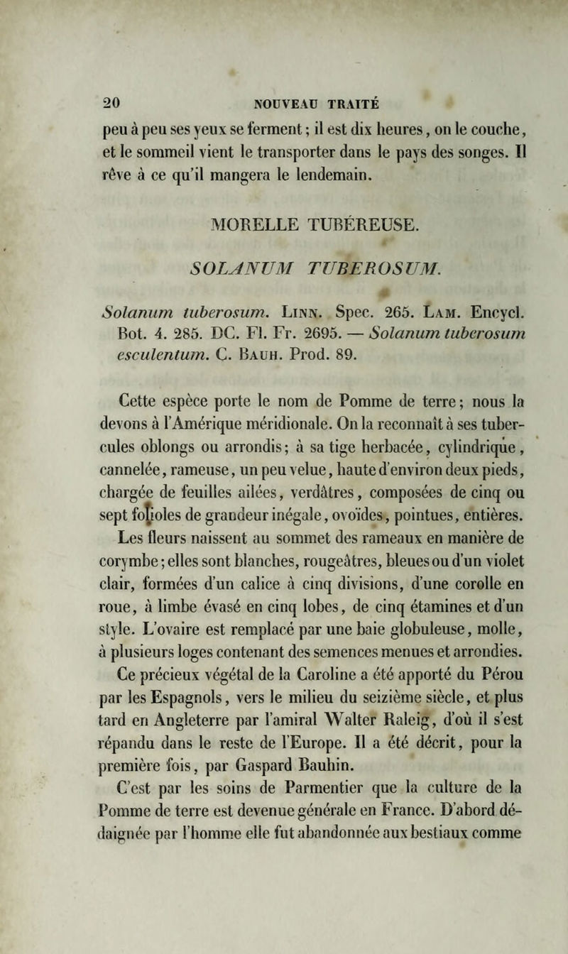 peu à peu ses yeux se ferment ; il est dix heures, on le couche, et le sommeil vient le transporter dans le pays des songes. Il rêve à ce qu’il mangera le lendemain. MORELLE TUBÉREUSE. SOL J NU M TUBEROSUM. Solarium tuberosum. Linn. Spec. 265. Lam. Encycl. Rot. 4. 285. DC. Fl. Fr. 2695. — Solarium tuberosum esculentum. C. Bauh. Prod. 89. Cette espèce porte le nom de Pomme de terre ; nous la devons à l’Amérique méridionale. Onia reconnaît à ses tuber¬ cules oblongs ou arrondis ; à sa tige herbacée, cylindrique, cannelée, rameuse, un peu velue, haute d’environ deux pieds, chargée de feuilles ailées, verdâtres, composées de cinq ou sept folioles de grandeur inégale, ovoïdes, pointues, entières. Les fleurs naissent au sommet des rameaux en manière de corymbe;elles sont blanches, rougeâtres, bleuesoud’un violet clair, formées d’un calice à cinq divisions, d’une corolle en roue, à limbe évasé en cinq lobes, de cinq étamines et d’un style. L’ovaire est remplacé par une baie globuleuse, molle, à plusieurs loges contenant des semences menues et arrondies. Ce précieux végétal de la Caroline a été apporté du Pérou par les Espagnols, vers le milieu du seizième siècle, et plus tard en Angleterre par l’amiral Walter Raleig, d’où il s’est répandu dans le reste de l’Europe. Il a été décrit, pour la première fois, par Gaspard Bauhin. C’est par les soins de Parmentier que la culture de la Pomme de terre est devenue générale en France. D’abord dé¬ daignée par l’homme elle fut abandonnée aux bestiaux comme