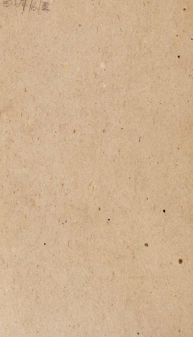 digitised image 2