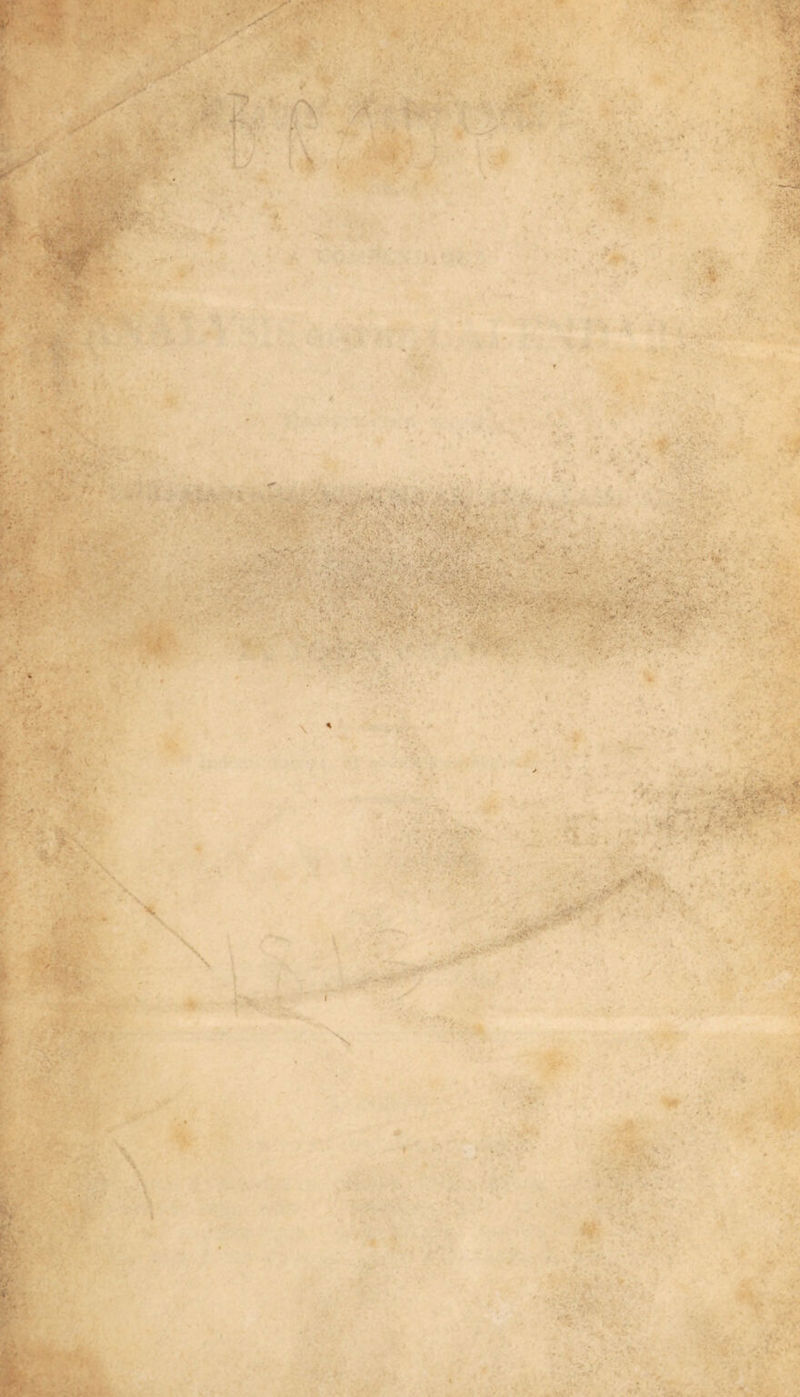 V ' . *■> s'v >: i , ysra