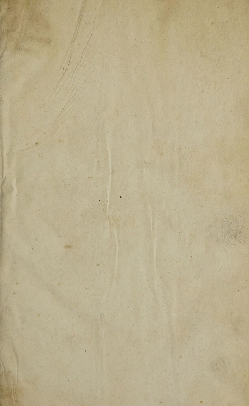 •I b A. > £ . \ • t' ' ' • ■' ^ . ',. ;• / - ' fl'' ■ V, ■ '/,. t ■1» • '{ 'H » . , w * ki ■ ■'V > . ïi ^‘ ’■