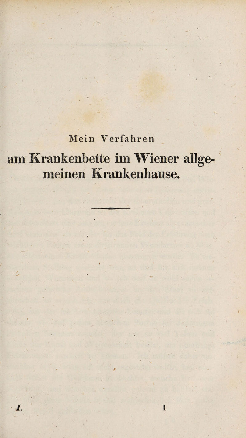 Krankenbette im Wiener allge¬ meinen Krankenhause.