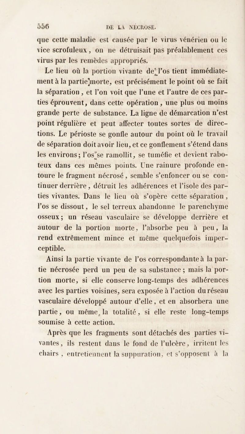 que cette maladie est causée par le virus vénérien ou le vice scrofuleux, on ne détruisait pas préalablement ces virus par les remèdes appropriés. Le lieu où la portion vivante de l’os tient immédiate- ment à la partielmorte, est précisément le point où se fait la séparation , et l’on voit que l’une et l’autre de ces par¬ ties éprouvent, dans cette opération, une plus ou moins grande perte de substance. La ligne de démarcation n’est point régulière et peut affecter toutes sortes de direc¬ tions. Le périoste se gonfle autour du point où le travail de séparation doit avoir lieu, et ce gonflement s’étend dans les environs; l’os^se ramollit, se tuméfie et devient rabo- teux dans ces mêmes points. Une rainure profonde en¬ toure le fragment nécrosé, semble s’enfoncer ou se con¬ tinuer derrière, détruit les adhérences et l’isole des par¬ ties vivantes. Dans le lieu où s’opère cette séparation, l’os se dissout, le sel terreux abandonne le parenchyme osseux; un réseau vasculaire se développe derrière et autour de la portion morte, l’absorbe peu à peu, la rend extrêmement mince et même quelquefois imper¬ ceptible. Ainsi la partie vivante de l’os correspondante à la par¬ tie nécrosée perd un peu de sa substance ; mais la por¬ tion morte, si elle conserve long-temps des adhérences avec les parties voisines, sera exposée à l’action du réseau vasculaire développé autour d’elle, et en absorbera une partie, ou même la totalité, si elle reste long-temps soumise à cette action. Après que les fragments sont détachés des parties vi¬ vantes, ils restent dans le fond de l’ulcère, irritent les chairs , entretiennent la suppuration, et s’opposent à la