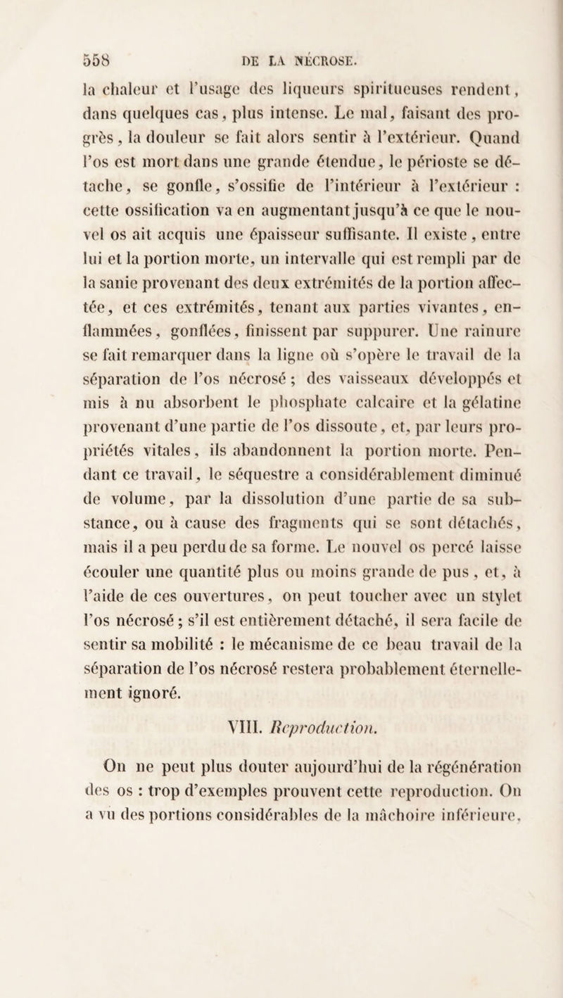 la chaleur et l’usage des liqueurs spiritueuses rendent, dans quelques cas, plus intense. Le mal, faisant des pro¬ grès , la douleur se fait alors sentir à l’extérieur. Quand l’os est mort dans une grande étendue, le périoste se dé¬ tache, se gonfle, s’ossifie de l’intérieur a l’extérieur : cette ossification va en augmentant jusqu’à ce que le nou¬ vel os ait acquis une épaisseur suffisante. II existe , entre lui et la portion morte, un intervalle qui est rempli par de la sanie provenant des deux extrémités de la portion affec¬ tée, et ces extrémités, tenant aux parties vivantes, en¬ flammées, gonflées, finissent par suppurer. Une rainure se fait remarquer dans la ligne où s’opère le travail de la séparation de l’os nécrosé ; des vaisseaux développés et mis à nu absorbent le phosphate calcaire et la gélatine provenant d’une partie de l’os dissoute, et, par leurs pro¬ priétés vitales, ils abandonnent la portion morte. Pen¬ dant ce travail , le séquestre a considérablement diminué de volume, par la dissolution d’une partie de sa sub¬ stance, ou à cause des fragments qui se sont détachés, mais il a peu perdu de sa forme. Le nouvel os percé laisse écouler une quantité plus ou moins grande de pus , et, à l’aide de ces ouvertures, on peut toucher avec un stylet l’os nécrosé ; s’il est entièrement détaché, il sera facile de sentir sa mobilité : le mécanisme de ce beau travail de la séparation de l’os nécrosé restera probablement éternelle¬ ment ignoré. VIII. Reproduction. On ne peut plus douter aujourd’hui de la régénération des os : trop d’exemples prouvent cette reproduction. On a vu des portions considérables de la mâchoire inférieure.