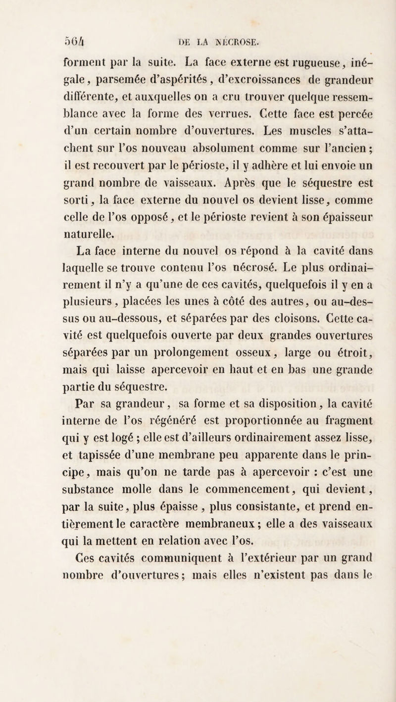 forment par la suite. La face externe est rugueuse, iné¬ gale , parsemée d’aspérités, d’excroissances de grandeur différente, et auxquelles on a cru trouver quelque ressem¬ blance avec la forme des verrues. Cette face est percée d’un certain nombre d’ouvertures. Les muscles s’atta¬ chent sur l’os nouveau absolument comme sur l’ancien ; il est recouvert par le périoste, il y adhère et lui envoie un grand nombre de vaisseaux. Après que le séquestre est sorti, la face externe du nouvel os devient lisse, comme celle de l’os opposé, et le périoste revient à son épaisseur naturelle. La face interne du nouvel os répond à la cavité dans laquelle se trouve contenu l’os nécrosé. Le plus ordinai¬ rement il n’y a qu’une de ces cavités, quelquefois il y en a plusieurs, placées les unes à côté des autres, ou au-des¬ sus ou au-dessous, et séparées par des cloisons. Cette ca¬ vité est quelquefois ouverte par deux grandes ouvertures séparées par un prolongement osseux, large ou étroit, mais qui laisse apercevoir en haut et en bas une grande partie du séquestre. Par sa grandeur, sa forme et sa disposition, la cavité interne de l’os régénéré est proportionnée au fragment qui y est logé ; elle est d’ailleurs ordinairement assez lisse, et tapissée d’une membrane peu apparente dans le prin¬ cipe, mais qu’on ne tarde pas à apercevoir : c’est une substance molle dans le commencement, qui devient, par la suite, plus épaisse , plus consistante, et prend en¬ tièrement le caractère membraneux ; elle a des vaisseaux qui la mettent en relation avec l’os. Ces cavités communiquent à l’extérieur par un grand nombre d’ouvertures; mais elles n’existent pas dans le