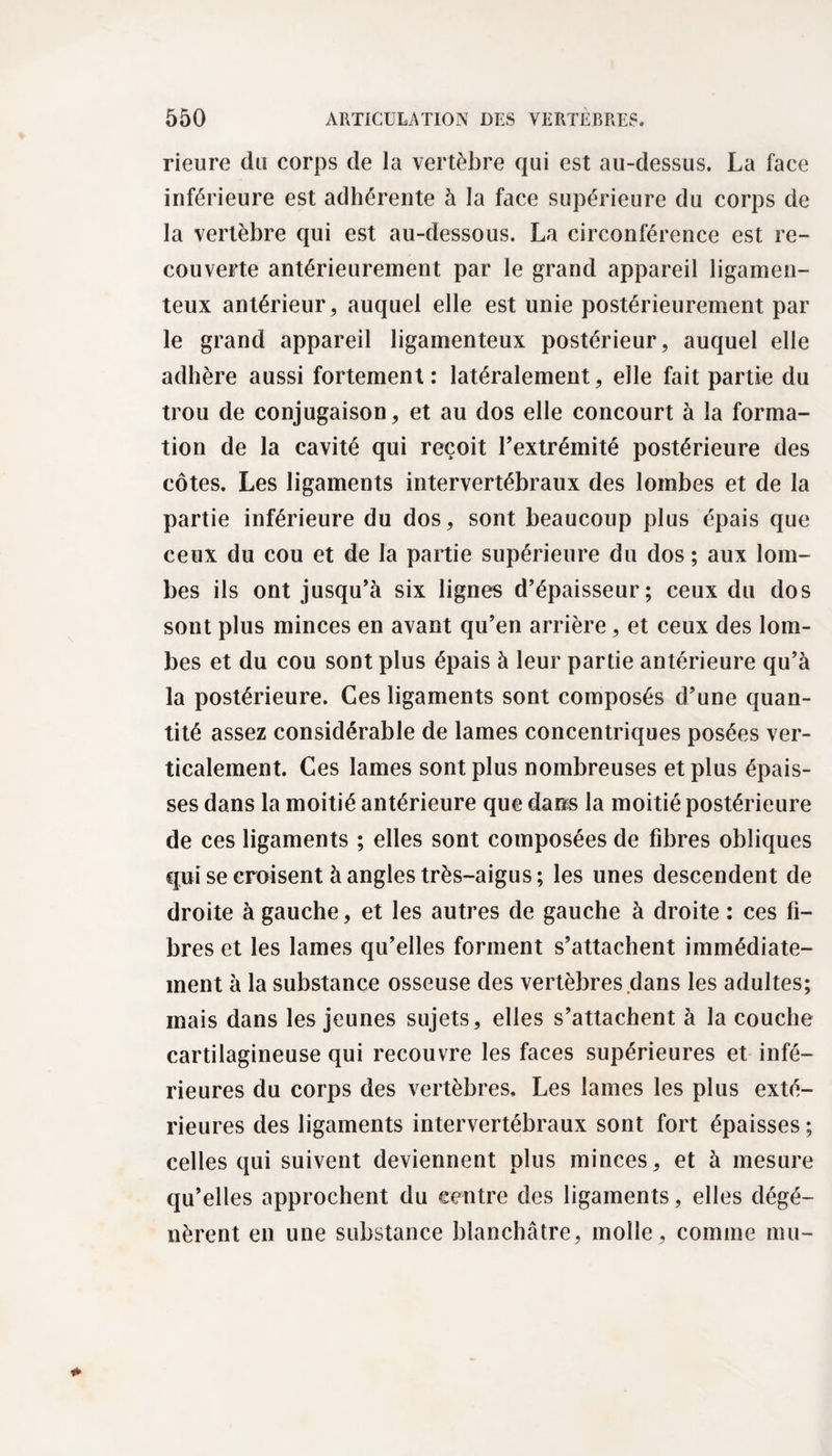 rieure du corps de la vertèbre qui est au-dessus. La face inférieure est adhérente à la face supérieure du corps de la vertèbre qui est au-dessous. La circonférence est re¬ couverte antérieurement par le grand appareil ligamen¬ teux antérieur, auquel elle est unie postérieurement par le grand appareil ligamenteux postérieur, auquel elle adhère aussi fortement: latéralement, elle fait partie du trou de conjugaison, et au dos elle concourt à la forma¬ tion de la cavité qui reçoit l’extrémité postérieure des côtes. Les ligaments intervertébraux des lombes et de la partie inférieure du dos, sont beaucoup plus épais que ceux du cou et de la partie supérieure du dos ; aux lom¬ bes ils ont jusqu’à six lignes d’épaisseur; ceux du dos sont plus minces en avant qu’en arrière, et ceux des lom¬ bes et du cou sont plus épais à leur partie antérieure qu’à la postérieure. Ces ligaments sont composés d’une quan¬ tité assez considérable de lames concentriques posées ver¬ ticalement. Ces lames sont plus nombreuses et plus épais¬ ses dans la moitié antérieure que dans la moitié postérieure de ces ligaments ; elles sont composées de fibres obliques qui se croisent à angles très-aigus; les unes descendent de droite à gauche, et les autres de gauche à droite : ces fi¬ bres et les lames qu’elles forment s’attachent immédiate¬ ment à la substance osseuse des vertèbres dans les adultes; mais dans les jeunes sujets, elles s’attachent à la couche cartilagineuse qui recouvre les faces supérieures et infé¬ rieures du corps des vertèbres. Les lames les plus exté¬ rieures des ligaments intervertébraux sont fort épaisses ; celles qui suivent deviennent plus minces, et à mesure qu’elles approchent du centre des ligaments, elles dégé¬ nèrent en une substance blanchâtre, molle, comme mu-