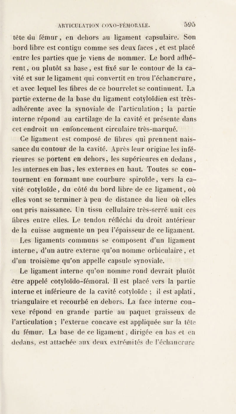 tête du fémur, en dehors au ligament capsulaire. Son bord libre est contigu comme ses deux faces , et est placé entre les parties que je viens de nommer. Le bord adhé¬ rent, ou plutôt sa base, est fixé sur le contour de la ca¬ vité et sur le ligament qui convertit en trou l’échancrure, et avec lequel les fibres de ce bourrelet se continuent. La partie externe de la base du ligament cotyloïdiem est très- adhérente avec la synoviale de l’articulation ; la partie interne répond au cartilage de la cavité et présente dans cet endroit un enfoncement circulaire très-marqué. Ce ligament est composé de libres qui prennent nais¬ sance du contour de la cavité. Après leur origine les infé¬ rieures se portent en dehors, les supérieures en dedans, les internes en bas, les externes en haut. Toutes se con¬ tournent en formant une courbure spiroïde, vers la ca¬ vité cotyloïde, du côté du bord libre de ce ligament, où elles vont se terminer à peu de distance du lieu où elles ont pris naissance. Un tissu cellulaire très-serré unit ces libres entre elles. Le tendon réfléchi du droit antérieur de la cuisse augmente un peu l’épaisseur de ce ligament. Les ligaments communs se composent d’un ligament interne, d’un autre externe qu’on nomme orbiculaire, et d’un troisième qu’on appelle capsule synoviale. Le ligament interne qu’on nomme rond devrait plutôt être appelé cotyloïdo-fémoral. Ï1 est placé vers la partie interne et inférieure de la cavité cotyloïde ; il est aplati, triangulaire et recourbé en dehors. La face interne con¬ vexe répond en grande partie au paquet graisseux de l’articulation ; l’externe concave est appliquée sur la tête du fémur. La base de ce ligament, dirigée en bas et en dedans, est attachée aux deux extrémités de l’échancrure