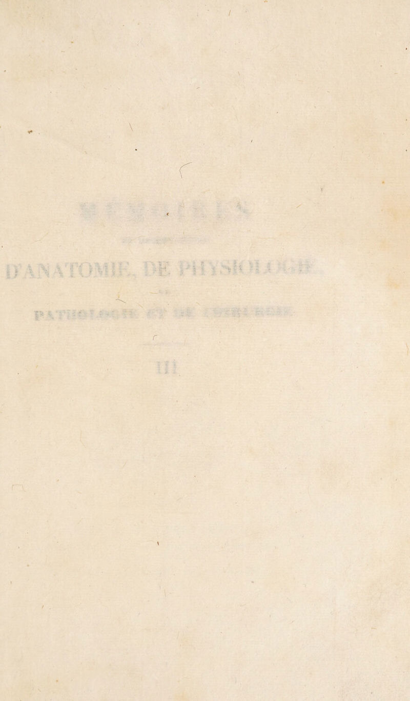 r i-.- &gt;-.-wvr l'i. T '! , 0' À Xw'. /:■ -I' ■li - ^ ê 'i'- J 1 iJ ■ I èl? '^&gt;i fV %îg^ f WA ■■ ’^T','^ V ii î- X r •^ --^ ■m’ 1&gt; } il 2 ï fl* •t. J» . &gt;''4'ar-i .1.^ . *91 ' -,-.À_ -, • v’-ifc-A.r- • • ; . \-'d- i'* '•'*^’^ V. ' • / n. ■m-m f ■ : i'. 'Vf.' . •^ ; -I *).