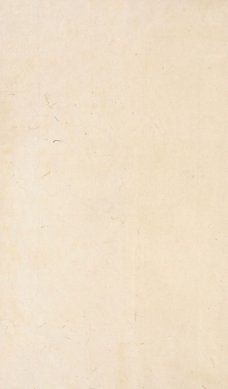 s l t I A \ ' A^, * / A 1 \ L &gt; ) ( \ '/ U_' I I X ) \ \ \ X