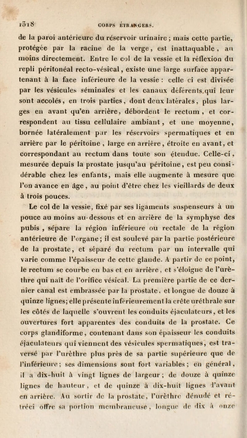 r3i8 GORP.S ElRMiGER?. de la paroi antérieure du réservoir urinaire ; mais cette partie, protégée par la racine de la verge, est inattaquable , au moins directement. Entre le col de la vessie et la réflexion du repli péritonéal recto-vésical, existe une large surface appar¬ tenant à la face inférieure de la vessie : celle ci est divisée par les vésicules séminales et les canaux déférents.qui leur sont accolés, en trois parties, dont deux latérales, plus lar¬ ges en avant qu’en arrière, débordent le reetum , et cor¬ respondent au tissu cellulaire ambiant, et une moyenne, bornée latéralement par les réservoirs spermatiques et en arrière par le péritoine , large en arrière, étroite en avant, et correspondant au rectum dans toute son étendue. Celle-ci, mesurée depuis la prostate jusqu’au péritoine, est peu consi¬ dérable chez les enfants, mais elle augmente à mesure que l’on avance en âge, au point d’être chez les vieillards de deux à trois pouces. Le col de la vessie, fixé par ses ligaments suspenseurs à un pouce au moins au-dessous et en arrière de la sympbyse des pubis , sépare la région inférieure ou rectale de la région antérieure de l’organe; il est soulevé par la partie postérieure de la prostate, et séparé du rectum par un intervalle qui varie comme l’épaisseur de cette glande. A partir de ce point, le rectum se courbe en bas et en arrière, et s’éloigne de l’urè¬ thre qui naît de l’orifice vésical. La première partie de ce der¬ nier canal est embrassée par la prostate, et longue de douze à quinze lignes; elle présente inférieurement la crête uréthrale sur les côtés de laquelle s’ouvrent les conduits éjaculateurs, et les ouvertures fort apparentes des conduits de la prostate. Ce corps glandiforme, contenant dans son épaisseur les conduits éjaculateurs qui viennent des vésicules spermatiques, est tra¬ versé par l’urèthre plus près de sa partie supérieure que de l’inférieure; ses dimensions sont fort variables; e~n général, il a dix-huit à vingt lignes de largeur; de douze à (juinze lignes de hauteur, et de quinze à dix-huit lignes l’avant en arrière. .Au sortir de la prostate, l’urèthre dénudé et ré¬ tréci offre sa portion membraneuse, longue de dix à onze