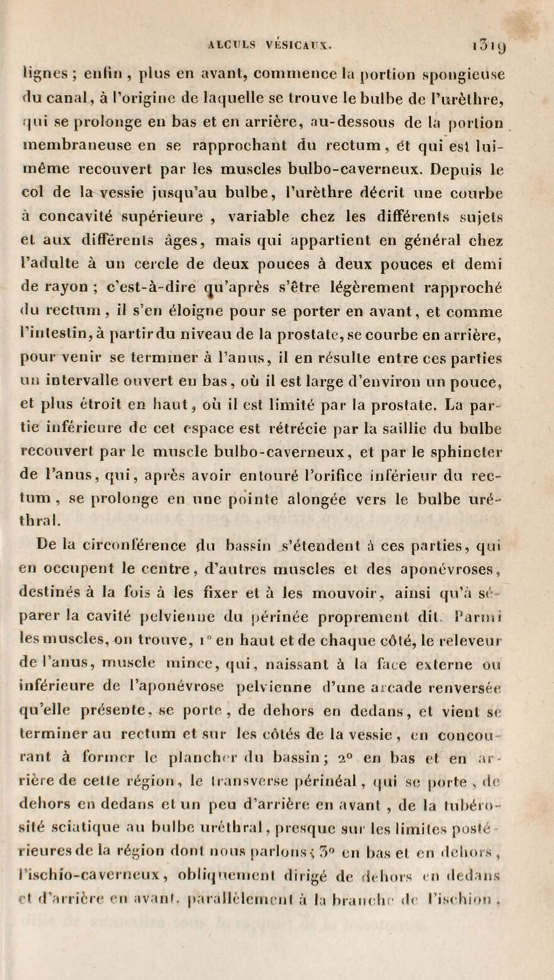 lignes ; enfin , plus en avanl, coniinence la portion spongieuse &lt;1u canal, à l’origine de laquelle se trouve le bulbe de l’urèlbre, qui se prolonge en bas et en arrière, au-dessous de la portion membraneuse en se rapprochant du rectum, èt qui est lui- même recouvert par les muscles bulbo-caverneux. Depuis le col de la vessie jusqu’au bulbe, l’urèthre décrit une courbe à concavité supérieure , variable chez les différents sujets et aux differents âges, mais qui appartient en général chez l’adulte à un cercle de deux pouces à deux pouces et demi de rayon ; c’est-à-dire (ju’après s’être légèrement rapproché (lu rectum , il s’en éloigne pour se porter en avant, et comme l’intestin, à partirdu niveau de la prostate, se courbe en arrière, pour venir se terminer à l’anus, il en résulte entre ces parties un intervalle ouvert en bas, où il est large d’environ un pouce, et plus étroit en haut, où il est limité par la prostate. La par¬ tie inférieure de cet espace est rétrécie par la saillie du bulbe recouvert par le muscle bulbo-caverneux, et par le sphincter de l’anus, qui, après avoir entouré l’orifice inférieur du rec¬ tum , se prolonge en une pointe alongée vers le bulbe uré¬ thral. De la circonférence du bassin s’étendent à ces parties, qui en occupent le centre, d’autres muscles et des aponévroses, destinés à la fois à les fixer et à les mouvoir, ainsi qu’à sé¬ parer la cavité pelvienne du périnée proprement dit. Parmi les muscles, on trouve, i^cn haut et de chaque côté, le releveur de l’anus, muscle mince, qui, naissant à la face externe ou inférieure de l’af)onévrose pelvienne d’une arcade renversée qu’elle présente, se porte, de dehors en dedans, et vient se terminer au rectum et sur les côtés de la vessie , en concou¬ rant à former le plancher du bassin; 2“ en bas et en ar¬ rière de cette région, le Iransvcrse [térinéal, cpii se porte , de dehors en dedans et un peu d’arrière en avant , de la tubéro¬ sité sciatique au bulbe uréthral, [)resquc sur les limites posté¬ rieures de la région dont nous parlons ; 3 en bas et en dehors , rischio-caverneux, obbùjuenicnt dirigé de dehors en dedans et d’arrière en avant. |(araliéicmcnl à la braïudii' de l’ischion.