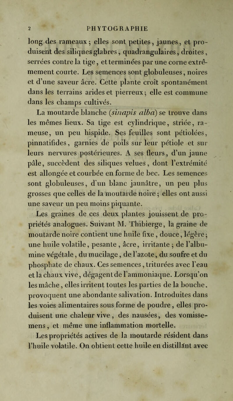 long des rameaux; elles sont petites, jaunes, et pro¬ duisent des siliques glabres, quadrangulaires, droites, serrées contre la tige, et terminées par une corne extrê¬ mement courte. Les semences sont globuleuses, noires et d’une saveur âcre. Cette plante croît spontanément dans les terrains arides et pierreux; elle est commune dans les champs cultivés. La moutarde blanche (sinapis alba) se trouve dans les mêmes lieux. Sa tige est cylindrique, striée, ra¬ meuse, un peu hispide. Ses feuilles sont pétiolées, pinnatifides, garnies de poils sur leur pétiole et sur leurs nervures postérieures. A ses fleurs, d’un jaune pâle, succèdent des siliques velues, dont l’extrémité est allongée et courbée en forme de bec. Les semences sont globuleuses, d'un blanc jaunâtre, un peu plus grosses que celles de la moutarde noire ; elles ont aussi une saveur un peu moins piquante. Les graines de ces deux plantes jouissent de pro¬ priétés analogues. Suivant M. Thibierge, la graine de moutarde noire contient une huile fixe, douce, légère; une huile volatile, pesante , âcre, irritante ; de l’albu¬ mine végétale, du mucilage, de l’azote, du soufre et du phosphate de chaux. Ces semences, triturées avec l’eau et la chaux vive, dégagent de l’ammoniaque. Lorsqu’on les mâche, elles irritent toutes les parties de la bouche, provoquent une abondante salivation. Introduites dans les voies alimentaires sous forme de poudre, elles pro¬ duisent une chaleur vive , des nausées, des vomisse- mens , et même une inflammation mortelle. Les propriétés actives de la moutarde résident dans l’huile volatile. On obtient cette huile en distillant avec