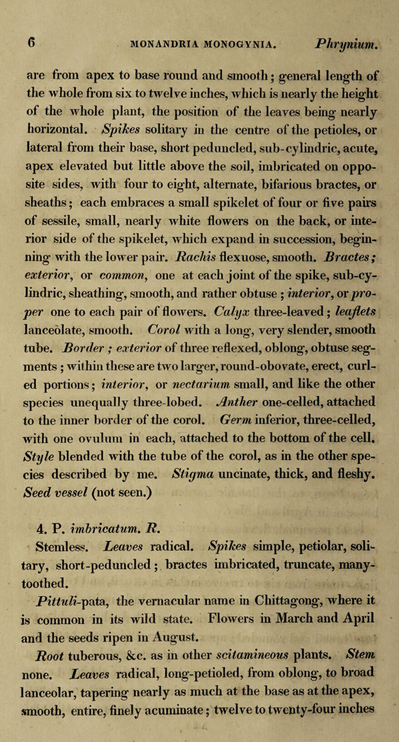 are from apex to base round and smooth; general length of the whole from six to twelve inches, which is nearly the height of the whole plant, the position of the leaves being nearly horizontal. Spikes solitary in the centre of the petioles, or lateral from their base, short peduncled, sub-cylindric, acute, apex elevated but little above the soil, imbricated on oppo¬ site sides, with four to eight, alternate, bifarious bractes, or sheaths; each embraces a small spikelet of four or five pahs of sessile, small, nearly white flowers on the back, or inte¬ rior side of the spikelet, which expand in succession, begin¬ ning with the lower pair. Rachis flexuose, smooth. Bractes ; exterior^ or common, one at each joint of the spike, sub-cy- lindric, sheathing, smooth, and rather obtuse ; interior, or pro- per one to each pair of flowers. Calyx three-leaved; leaflets lanceolate, smooth. Corol with a long, very slender, smooth tube. Border ; exterior of three reflexed, oblong, obtuse seg¬ ments ; within these are two larger, round-obovate, erect, curl¬ ed portions; interior, or nectarium small, and like the other species unequally three-lobed. Anther one-celled, attached to the inner border of the corol. Germ inferior, three-celled, with one ovulum in each, attached to the bottom of the cell. Style blended with the tube of the corol, as in the other spe¬ cies described by me. Stigma uncinate, thick, and fleshy. Seed vessel (not seen.) 4. P. imbricatum, R. Stemless. Leaves radical. Spikes simple, petiolar, solh tary, short-peduncled ; bractes imbricated, truncate, many¬ toothed. Pittuli-p^tsi, the vernacular name in Chittagong, where it is common in its wild state. Flowers in March and April and the seeds ripen in August. Root tuberous, &amp;c. as in other scitamineous plants. Stem none. Leaves radical, long-petioled, from oblong, to broad lanceolar, tapering nearly as much at the base as at the apex, smooth, entire, finely acuminate; twelve to twenty-four inches