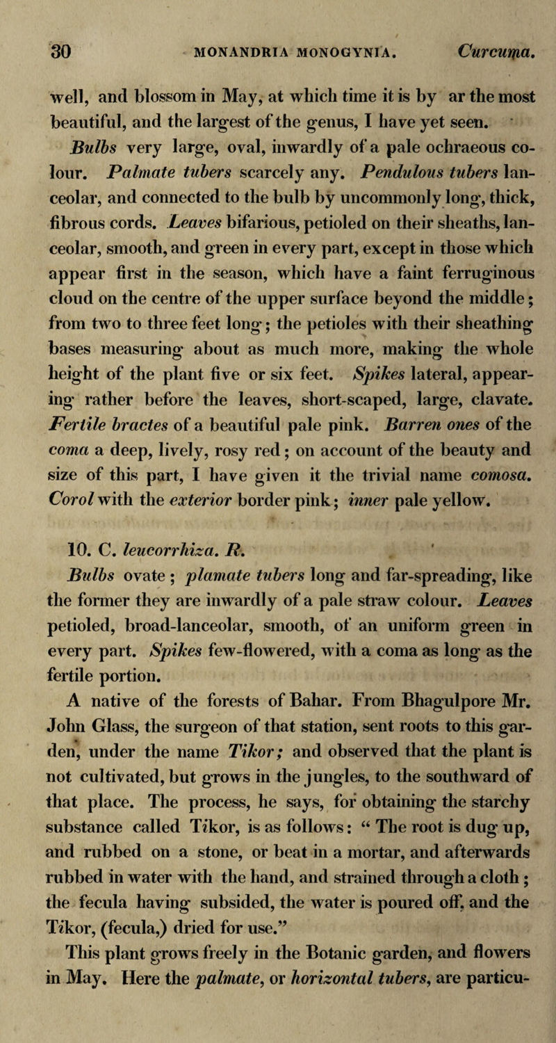 well, and blossom in May, at which time it is by ar the most beautiful, and the largest of the genus, I have yet seen. Bulbs very large, oval, inwardly of a pale ochraeous co¬ lour. Palmate tubers scarcely any. Pendulous tubers lan- ceolar, and connected to the bulb by uncommonly long, thick, fibrous cords. Leaves bifarious, petioled on their sheaths, lan- ceolar, smooth, and green in every part, except in those which appear first in the season, which have a faint ferruginous cloud on the centre of the upper surface beyond the middle; from two to three feet long; the petioles with their sheathing bases measuring about as much more, making the whole height of the plant five or six feet. Spikes lateral, appear¬ ing rather before the leaves, short-scaped, large, clavate. Fertile bractes of a beautiful pale pink. Barren ones of the coma a deep, lively, rosy red; on account of the beauty and size of this part, I have given it the trivial name comosa, Carol with the exterior border pink; inner pale yellow. 10. C. leucorrhiza, R, Bulbs ovate ; plamate tubers long and far-spreading, like the former they are inwardly of a pale straw colour. Leaves petioled, broad-lanceolar, smooth, of an uniform green in every part. Spikes few-flowered, with a coma as long as the fertile portion. A native of the forests of Bahar. From Bhagulpore Mr. John Glass, the surgeon of that station, sent roots to this gar¬ den, under the name Tikor; and observed that the plant is not cultivated, but grows in the jungles, to the southward of that place. The process, he says, for obtaining the starchy substance called Tikor, is as follows: “ The root is dug up, and rubbed on a stone, or beat in a mortar, and afterwards rubbed in water with the hand, and strained through a cloth; the fecula having subsided, the water is poured off. and the Tikor, (fecula,) dried for use.” This plant grows freely in the Botanic garden, and flowers in May, Here the palmate, or horizontal tubers, are particu-