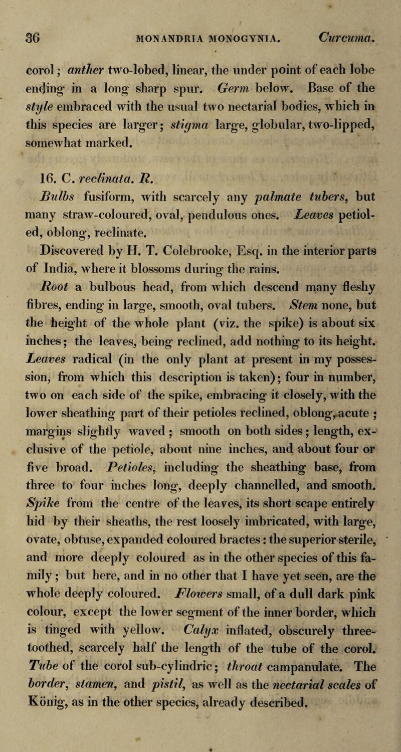 corol; anther two-lobed, linear, the under point of each lobe ending* in a long sharp spur. Germ below. Base of the style embraced with the usual two nectarial bodies, which in this species are larger; stigma large, globular, two-lipped, somewhat marked. 16. C. reclmata, R, Bulbs fusiform, with scarcely any palmate tubers, but many straw-coloured, oval, pendulous ones. Leaves petiol- ed, oblong’, reclinate. Discovered by H. T. Colebrooke, Esq. in the interior parts of India, where it blossoms during the rains. Root a bulbous head, from which descend many fleshy fibres, ending in large, smooth, oval tubers. Stem none, but the height of the whole plant (viz. the spike) is about six inches; the leaves, being reclined, add nothing to its height. Leaves radical (in the only plant at present in my posses¬ sion, from which this description is taken); four in number, two on each side of the spike, embracing it closely, with the lower sheathing part of their petioles reclined, oblong^acute ; margins slightly waved ; smooth on both sides; length, ex¬ clusive of the petiole, about nine inches, and about four or five broad. Petioles, including the sheathing base, from three to four inches long, deeply channelled, and smooth. Spike from the centre of the leaves, its short scape entirely hid by their sheaths, the rest loosely imbricated, with large, ovate, obtuse, expanded coloured bractes: the superior sterile, ' and more deeply coloured as in the other species of this fa¬ mily ; but here, and in no other that I have yet seen, are the whole deeply coloured. Floivers small, of a dull dark pink colour, except the lower segment of the inner border, which is tinged with yellow. Calyx inflated, obscurely three- toothed, scarcely half the length of the tube of the corol. Tube of the corol sub-cylindric; throat campanulate. The border, stamen, and pistil, as well as the nectarial scales of Kdnig, as in the other species, already described.