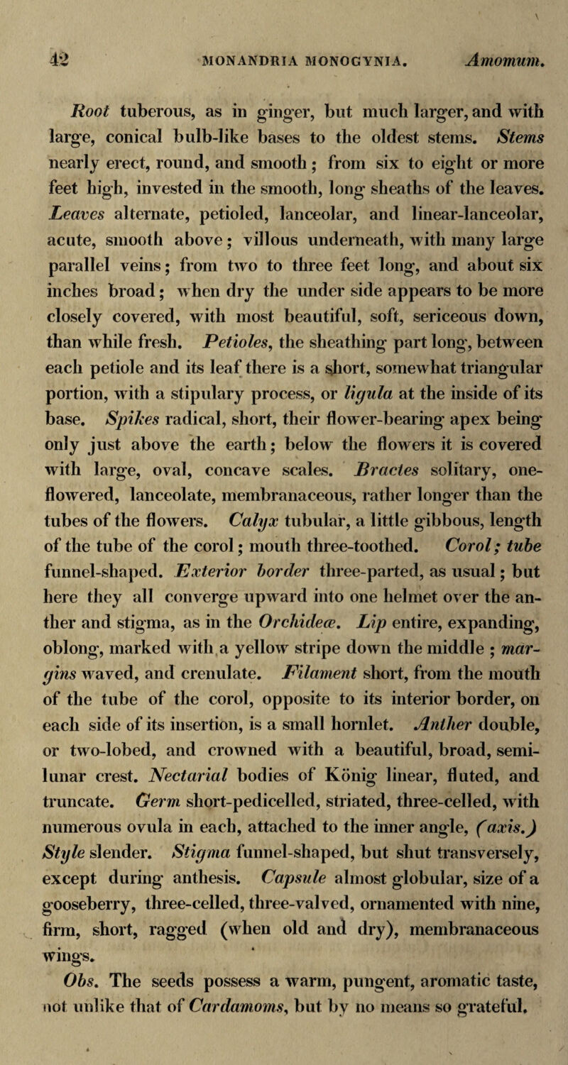 Root tuberous, as in ginger, but mucli larger, and with large, conical bulb-like bases to the oldest stems. Stems nearly erect, round, and smooth ; from six to eight or more feet high, invested in the smooth, long sheaths of the leaves. Leaves alternate, petioled, lanceolar, and linear-lanceolar, acute, smooth above; villous underneath, with many large parallel veins; from two to three feet long, and about six inches broad; when dry the under side appears to be more closely covered, with most beautiful, soft, sericeous down, than while fresh. Petioles, the sheathing part long', between each petiole and its leaf there is a ^Jiort, somewhat triangular portion, with a stipulary process, or ligula at the inside of its base. Spikes radical, short, their flower-bearing apex being only just above the earth; below the flowers it is covered with large, oval, concave scales. Bractes solitary, one- flowered, lanceolate, membranaceous, rather longer than the tubes of the flowers. Calyx tubular, a little gibbous, length of the tube of the corol; mouth three-toothed. Corol; tube funnel-shaped. Exterior border three-parted, as usual; but here they all converge upward into one helmet o^ er the an¬ ther and stigma, as in the Orchidece. Lip entire, expanding, oblong, marked with a yellow stripe down the middle ; mar¬ gins waved, and crenulate. Filament short, from the mouth of the tube of the corol, opposite to its interior border, on each side of its insertion, is a small hornlet. Anther double, or two-lobed, and crowned with a beautiful, broad, semi¬ lunar crest. Nectarial bodies of Konig linear, fluted, and truncate. Germ short-pedicelled, striated, three-celled, with numerous ovula in each, attached to the inner angle, (axis,) Style slender. Stigma funnel-shaped, but shut transversely, except during anthesis. Capsule almost globular, size of a gooseberry, three-celled, three-valved, ornamented with nine, firm, short, ragged (when old and dry), membranaceous wings. Obs, The seeds possess a warm, pungent, aromatic taste, not unlike that of Cardamoms, but by no means so grateful.