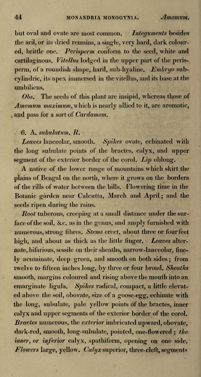 but oval and ovate are most common. Integuments besides the aril, or its dried remains, a single, very hard, dark colour¬ ed, brittle one. Perisperm conform to the seed, white and cartilaginous. Vitellus lodged in the upper part of the peris¬ perm, of a roundish shape, hard, sub-hyaline. Embryo sub- cylindric, its apex immersed in the vitellus, and its base at the umbilicus. Ohs, The seeds of this plant are insipid, whereas those of Amomum maximum, is nearly allied to it, are aromatic, . and pass for a sort of Cardamom. 6. A. suhulatum. R. Leaves lanceolar, smooth. Spikes ovate, echinated with the long subulate points of the bractes, calyx, and upper segment of the exterior border of the corol. Lip oblong. A native of the lower range of mountains which skirt the plains of Bengal on the north, where it grows on the borders of the rills of water between the hills. Flowering' time in the Botanic garden near Calcutta, March and April; and the seeds ripen during the rains. Root tuberous, creeping at a small distance under the sur¬ face of the soil, &c. as in the genus, and amply furnished with numerous, strong fibres. Stems erect, about three or four feet high, and about as thick as the little finger. Leaves alter¬ nate, bifarious, sessile on their sheaths, narrow-lanceolar, fine¬ ly acuminate, deep green, and smooth on both sides; from twelve to fifteen inches long’, by three or four broad. Sheaths smooth, margins coloured and rising above the mouth into an emarg'inate ligula. Spikes radical, compact, a little elevat¬ ed above the soil, obovate, size of a goose-egg, echinate with the long, subulate, pale yellow points of the bractes, inner calyx and upper segments of the exterior border of the corol. Bractes numerous, the exterior imbricated upward, obovate, dark-red, smooth, long-subulate, pointed, one-flowered ; the inner, or inferior calyx, spathiform, opening on one side. Flowers large, yellow. Calyx superior, three-cleft, segments