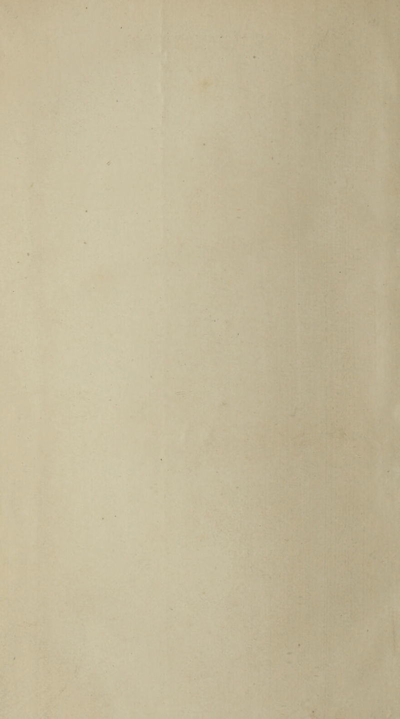 • > . p'. ..‘i *. ,. '-.■' ri^ r.''^■«; Mi.- ‘ • — ':B&.'