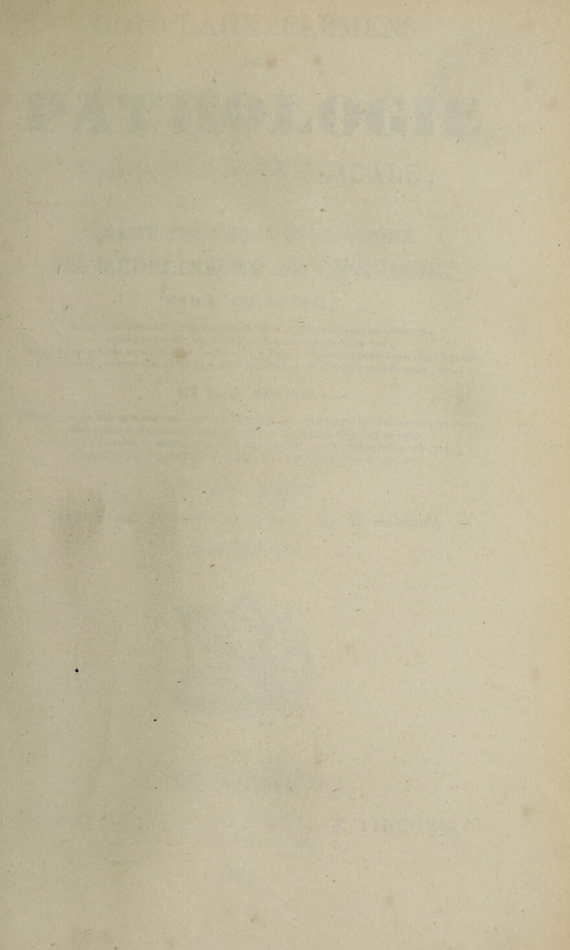 I ROCHE ACCESSION NUMBER PRESS MARK ,L.C. & SANSON, L.J. (Vol.2.)