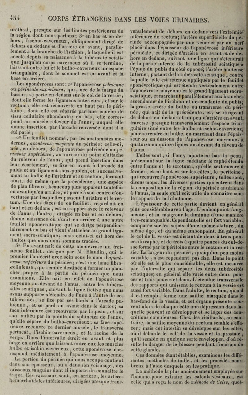 uréthral, presque sur les limites postérieures de la région dont nous parlons ; 3° en bas et en de¬ hors , l’ischio-caverneux, obliquement dirigé de dehors en dedans et d’arrière en avant, parallè¬ lement à la branche de l’ischion , à laquelle il est accolé depuis sa naissance à la tubérosité sciati¬ que jusqu’au corps caverneux où il se termine, laisssant entre lui et le bulbo-caverneux un espace triangulaire , dont le sommet est en avant et la base en arrière. Les aponévroses sont : i° l'aponévrose pelvienne ou périnéale supérieure, qui, née de la marge du bassin , se porte en dedans sur le col de la vessie, dont elle forme les ligamens antérieurs , et sur le rectum ; elle est recouverte en haut par le péri¬ toine , dont elle est séparée par une couche de tissu cellulaire abondante ; en bas, elle corres¬ pond au muscle releveur de l’anus , auquel elle donne insertion par l’arcade renversée dont il a été parlé ; 2U Un feuillet nommé , par les anatomistes mo¬ dernes , aponévrose moyenne du périnée ; celle-ci, née , en dehors , de l’aponévrose pelvienne ou pé¬ rinéale supérieure , au niveau du point d’attache du releveur de l’anus , qui prend insertion dans leur écartement, se fixe en avant à l’arcade du pubis et au ligament sous-pubien, et successive¬ ment au bulbe de l’urèthre et au rectum , formant ainsi, de même que la précédente , une espèce de plan fibreux, beaucoup plus apparent toutefois en avant qu’en arrière, et percé à son centre d’ou¬ vertures par lesquelles passent l’urèthre et le rec¬ tum. Une des faces de ce feuillet, regardant en haut et eu dedans , est en rapport avec le releveur de l’anus; l’autre, dirigée en bas et en dehors, donne naissance ou s’unit en arrière à une autre ieuillet aponévrotique qui se dirige perpendicu¬ lairement en bas et vient s’attacher au grand liga¬ ment sacro-sciatique; mais celui-ci est hors des limites que nous nous sommes tracées. 3° En avant naît de cetfii aponévrose un troi¬ sième feuillet, désigné par M. Blandin, qui le premier l’a décrit avec soin sous le nom aponé¬ vrose inférieure du périnée; c’est une lame fibro- celluleuse , qui semble destinée à former un plan¬ cher propre à la partie du périnée que nous examinons. Elle naît en effet de l’aponévrose moyenne au-devant de l’anus , entre les tubéro¬ sités sciatiques , suivant la ligne fictive que nous, avons supposée s’étendre de l’une à l’autre de ces tubérosités, se fixe par ses bords à l’arcade pu¬ bienne , et se perd en avant dans le dartos ; sa face inférieure est recouverte par la peau, et sur son milieu par la pointe du sphincter de l’anus , qu elle sépare du bulbo-caverneux ; sa face supé¬ rieure recouvre ce dernier muscle , le transverse périnéal, l’ischio-caverneux, et la racine de la verge. Dans l’intervalle étroit en avant et plus large en arrière que laissent entre eux les muscles bulbo et ischio-caverneux, cette aponévrose cor¬ respond médiatement à l’aponévrose moyenne. La portion du périnée qui nous occupe contient dans son épaisseur, ou a dans son voisinage, des vaisseaux sanguins dont il importe de connaître le trajet. Ces vaisseaux sont, en arrière , les artères héiuorrhoïdales inférieures, dirigées presque trans¬ versalement de dehors en dedans vers l’extrémité inférieure du rectum; l’artère superficielle du pé- jj rinée accompagnée par une veine et par un nerf 1] placé dans l’épaisseur de l’aponévrose inférieure périnéale, et dirigée d’arrière en avant et de de- hors en dedans, suivant une ligne qui s’étendrait de la partie interne de la tubérosité sciatique à ' l’épine du pubis du côté opposé; l’artère honteuse interne , partant de la tubérosité sciatique , contre laquelle elle est retenue appliquée par le feuillet aponévrotique qui est étendu verticalement entre 1 l’aponévrose moyenne et le grand ligament sacro- sciatique, et marchant parallèlement aux branches ascendante de l’ischion et descendante du pubis; la grosse artère du bulbe ou transverse du péri¬ née, qui nyt de la précédente, et, se dirigeant de dehors en dedans et un peu d’arrière en avant, traverse presque transversalement l’espace trian¬ gulaire situé entre les bulbo et ischio-caverneux, ’ pour se rendre au bulbe, en marchant dan3 l’épais¬ seur ou en dessous de l’aponévrose moyenne, à quatorze ou quinze lignes au-devant du niveau de l’anus. Telles sont, si l’on y ajoute en bas la peau, présentant sur la ligne médiane le raphé étendu entre l’anus et le scrotum , qu’elle sert encore à former, et en haut et sur les côtés , le péritoine , qui recouvre l’aponévrose supérieure , telles sont, disons nous, les diverses parties qui entrent dans la composition de la région du périnée antérieure à l'anus, la seule qu’il soit utile de connaître sous le rapport de la lithotomie. L’épaisseur de cette partie devient en général plus considérable avec l’âge. L’embonpoint l’aug¬ mente , et la maigreur la diminue d’une manière / très-remarquable. Cependant elle est fort variable , i comparée sur les sujets d’une même stature, du même âge, et du même embonpoint. En général le col de la vessie est distant de deux à trois pou¬ ces du raphé, et de trois à quatre pouces du cul-de- sac formé par le péritoine entre le rectum et la ves- : sie. La largeur du périnée , quoiqu’un peu moins ■ variable , 11’est cependant pas fixe. Dans le point où elle est le plus considérable, elle est mesurée par l’intervalle qui sépare les deux tubérosités sciatiques; en général elle varie entre deux pou¬ ces et trois pouces et demi. L’étendue transversale ! des rapports qui unissent le rectum à la vessie est aussi fort variable. Dans l’adulte, le rectum, quand il est rempli , forme une saillie marquée dans le bas-fond de la vessie, et cet organe présente sou¬ vent alors de chaque côté une dépression dans la¬ quelle peuvent se développer et se loger des con¬ crétions calculeuses. Chez les vieillards , au con¬ traire, la saillie moyenne du rectum semble s’effa¬ cer; mais cet intestin se développe sur les côtés, où il déborde le col de la vessie et la prostate , qu’il semble en quelque sorte envelopper, d’où ré¬ sulte le danger de le blesser pendant l'incision de cette glande. Ces données étant établies, examinons les diffé¬ rentes méthodes de taille , et les procédés nom¬ breux à l’aide desquels on les pratique. La méthode la plus anciennement employée sur l’homme pour extraire les calculs vésicaux , est celle qui a reçu le nom de méthode de Celse, quoi-