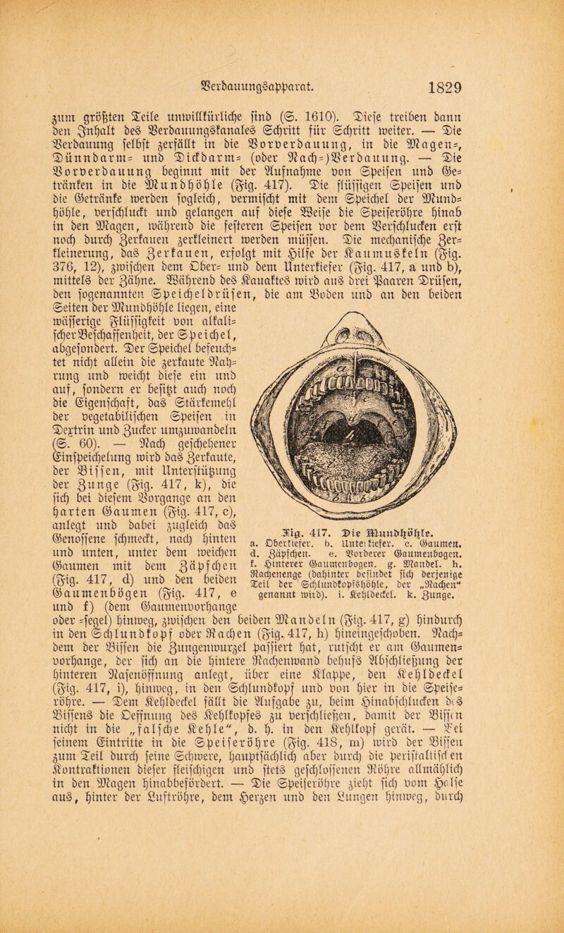 31tm größten ©eite unwitlfürlidje finb (©. 1610). ©iefe treiben bann ben 3nbatt beS SSerbauungSfanaleS Stritt für ©dfjritt weiter. — ©ie Verbauung fetbft gerfätlt in bie SSorderbauung, in bie $7agen=, ©ünnbarm= unb ©idbarnt= (ober 9£adj=)93erbaitung. — ©ie Vorder bauung beginnt mit ber Aufnahme dott ©Reifen nnb ©£* tränten in bie sühtnbabble (©ig. 417). ©ie ftitffigen ©Reifen nnb bie (Getränte werben fogteid), dermifd)t mit bem ©Reichet ber Sftunb- t)'6f)k, derfd)tucft nnb gelangen auf biefe SSeife bie ©beiferöbre hinab in ben üftagen, während bie fefteren ©Reifen dor bem 93erfd)tucfen erft nod) burd) 3eidauen gerfteinert werben muffen. ©ie med)anifd)e 3e?= tteinerung, baS 3ei'fanen, erfolgt mit <£>itfe ber ÄaumitSfeln (34g. 376, 12), gwifd)en bem ©ber= unb bem Unterfiefer (©ig. 417, a unb b), mittels ber 3dbne. SBäbrenb beS ÄauafteS wirb auS drei paaren Prüfen, ben fogenannten ©beidfetbrüfen, bie am Söoben unb an beu beiben ©eiten ber iDhiubböbte liegen, eine wäfferige ^lüfftgteit don altati= fd)er 93efd)affenf)eit, ber © b e i d) e t, abgefonbert. ©er ©Reichet befeitd)= tet nid)t allein bie gerfaute 9?at)s ntng unb weid)t biefe ein unb auf, fonbern er beftfü and) nod) bie ©igenfd)aft, baS ©tärfemet)t ber degetabitifd)en ©beifen in ©ejtrin unb 3nder umjuwanbetit (©. 60). — 97ad) gefd)et)ener (Sinfbeicbeluug wirb baS 3erfaute, ber Riffen, mit ltnterftütmng ber 3nnge (3*3- 417, k), bie fid) bei biefem Vorgänge an ben barten Daumen (34g. 417, c), antegt unb habet gugteid) baS ©enoffene febmedt, nad) hinten unb unten, unter bem weichen (kannten mit bem gäbfdjen (©ig. 417, d) unb ben beiben ©aumenbögen (©ig. 417, e unb f) (bem ©aumendorbange ober =feget) hinweg, gwifd)en ben beiben handeln (34g. 417, g) binburd) in ben ©d)tunbfo)pf ober 31ad)en (34g. 417, h) bineingefd)oben. 97ad)- bem ber Riffen bie 3nngenwurget pcifjtert ba3 rutfdjt er am 63aumew= oorbange, ber fid) an bie bittere 34ad)enWanb behufs 3tbfcblie^itng ber hinteren Slafenbffnitng antegt, über eine Ätabbe, ben Äebtbecfet (34g. 417, i), hinweg, in ben ©dftunbfobf unb Oon f)kx in bie ©fieife= röhre. — ©em Äeblbcdel fällt bie Aufgabe 51t, beim tpinabjd)tuden beS $ßiffen§ bie ©effnung beS ÄebtfogfeS §u berfd)tiegen, bamit ber S3ifftn nicht in bie „ f at f ci) e Äeble, b. b- in ben Äebtfogf gerät. — 4'ei feinem (Eintritte in bie ©beiferöbre (34g. 418, m) wirb ber SSiffen gum ©eil bureb feine ©cbwere, bandtfadflid) aber burd) bie geriftaftifden Äontraftionen biefer fteifd)igen unb ftetS gefcl)loffeuen 9ßöf)re attmat)tid) in ben 3D7agen binabbeförbert. — ©ie ©peiferofjre giebt fid) Oom ipedfe auS, hinter ber Suftröljre, bem §ergen unb ben Sungen hinweg, burd) 3Tt0. 417. 3?Blimfctjübtr. a. öberfiefer. b. Untei tiefer. c. ©aumen. d. gcipftfien. e. derberer ©aumenöogen. f. Hinterer ©aumenbogen. g. SOtartbel. h. 9?ad)enenge (baljirttev befinbet fid) Derjenige Steil ber @d)lnnbfüfn§l)Öf)[e, ber „Stadien“ genannt trüb), i. Sefjlbedel. k. gunge.