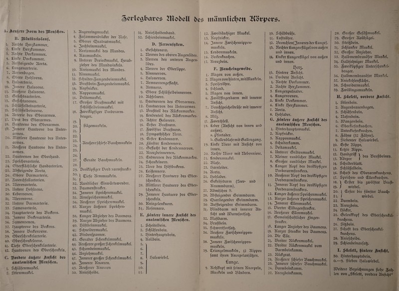 gcdegbnrcs ZlIobeD A. i\eußere ^torrn bes £Stcnfd)en. B. ^SfutUreisfauf. V Hechte Qergfammer. 2. LinFe ^erjfammer. 3. Hechte Dorfamtucr. 4- LinFe Dorfammer. 5. Aufjteigenbc Aorta. 6. Luugenarterie. 7. Aortenbogen. 8. 0bcre f^ofylrenc. 9* ^alsarterie. \o. 3unere Qalsrcue. U* Aeujgerc Halsreue. \2. (Sefuhtsarterieu. 13. (Seftchtsreiteu. (4- Scblüffclbciuarterie. 15. S^Iüffelbeinuene. 16. Arterie bcs 0berarmes. \7. Deue bes 0berarmes. 18. ßautoene bes 0berarnies. \9. 3nncre Hautrenc bes Unter¬ armes. 20. mittlere f^autoene bes Unter¬ armes. 2^. Aeufjere b^autrene bcs Unter¬ armes. 22. ^autnenen ber 0bertjanb. 23. Speichenarterie. 24. 0berftäcbliche Sanbarterien. 25. Abfteigenbe Aorta. 26. 0bere Darmarteric. 27. grrercbfellarterieu. 28. liieren arten e. 29. Untere ^o^loene. 30. Leberrenen. 3t. ZTtereurene. 32. Untere Darmarterie. 33. Samenarterie. 34. i^auptarterie bes BccFctts. 35. 3nnere BecFeuarterie. 36. Samettrencn. 37. t^auptoene bcs Bccfeus. 38. 3nnere Becfeureue. 39. 0berfchenfelarterie. 40. 0berfchenFeIreue. 4t. CEiefe 0berfd;>enfelarterie. 42. Hautrenen bes 0bcrfd?enFels. C. ^orbere äußere lUtfidit bes anafamtfdjen £&eu(d)cu. t. Schläfenmusfel. 2. Stirnmusfel. 3. Angenringmusfel. 4- gufammenbrücfer ber Hafe. 5. 0berer 0uabratmusfel. 6. 30c^bcinmusfel. 7. Krcismusfel bes IHunbes. 8. Kaumusfcln. 9. Unterer Dreiecfmusfel, Zjcrab« giehcr bes ZTtunbunufels. to. Kreismusfel bes XUunbes. 11. Kinnmusfel. \2. Scbulter-gungenbeiumusfel. t3. BrufibeimguugcubeinmusFel. 14- Kopfuicfer. 15. Kappeuntusfel. t6. Deltamusfel. 17. (Srofgcr Bruftmusfel mit Schiüffelbetiimusfel. t8. gmeiföpfiger Dorberarm« 19- 20. beuger. ► Sägemusfclu. 2b . 22.1 25 { “ * J AeufgerefdiiefcBaud^musFclu 27. (Serabc Baudjmusfclu. 28. 29. Drciföpftgcr Dorb.rarmftreefoi 30‘ 1 (liefe Annmusfelii. 3t. / 32. Bunblicher Etmrärtsmcubcr. 33. Daumenftrccfer. 34. 3nncrer SpeicheumusFel. 35. Armfpeidjeumusfcl. 36. Aeufgercr Speidjenntusfel. 37. Kurger äußerer Speichen« musfel. 38. Langer Abgieher bcs Daumens. 39. Kurger Abgieher bes Daumens. 40. i^üftbciiimusfcl. 41. Schneibermusfel. 42. Biiibcufpatmer. 43. (Serabcr SchenfelmusFel. 44. AcußercrgroßerSdjcufclmusFel. 45. Schambeinmusfcl. 46. Augiehmusfel. 47. 3nnercr großer SchenfelmusFel. 48. 3unercr Knorren. 49. Acußerer Knorren 50. Knicfdieibe. 5t. 52. 1. 2. 3. 4- 5. 6. 7. 8. 9. to. U- 12. 13. 14* 13. 16. 1?. 18. 19- 20. 2t. 22. 23. 24. 25. 26. 27. 28. 29. 30. 31- E. 1. 2. 3. 4- 5. 6. 7. 8. 9- to. ( t. Knicfcheibcnbanb. SdiieubeiumusFel. 1). llemnfvltcm. (Sefichtsnero. Herren bcs oberen Augenlibes. Herren bes unteren Augen« Iibes. Herren ber 0berlippe. Ktnnuerren. Halstterren. Armncrreugefledpt. Armnerr. 0bere Sd?Iü ffelbeiunerren. Achfelnerr. Hantnerren bes 0berarmes. Hautnerrcit bes Unterarmes. Brufitcil bes Kücfettmarfes. Lenbeuteil bes Kücfettmarfes. Adjter Zjalsnerr. Elfter Bruftueru. gtnölfter Bruftuerr. Sympathifd?cr Herr. (Elfter Lcnbeuueir. fünfter Lenbeuiterr. (Sefted^t ber Lcubcnuerren. Kreugbeiuuerren. Eubnerren bes Zliicfeumarfes. Schenfelnerr. Herr bcs Z^iftbccfeus. Leifteitncrr. Aeußercr Hautnerr bes 0bcr» fdienfels. mittlerer Hautnerr bes 0ber« fdjeufels. 3nnerer Hautnerr bes 0bcr- fd?eufels. Kntegelenfncrr. Kofettnerr. Hintere innere Jlnftdjf bes rtmrtomtfdjeii £tfcu(d)eu. Sdpeitelbein. Schläfenbein. Hinterhauptsbein. Keilbein. Halswirbel. männlichen Körpers. 12. gtreibäudjiger musfel. 13. Kopfuicfer. t4. 3«uere gnnfd?cnrippcu» musFeln. 15. Lenbenmusfeln. \ 6. Becfeufuod?en. (7. Kreugbein. F. gSaudjcingewcibe. t. mageu von außen. 2. ZTTageit rou hinten,mitZITusfclu. 3. Speiferöhre. 4. Sdilunb. 5. mageit rou innen. 6. gtrölfftugerbarm mit innerer Anficht. 7. Bauchfpeichelbriife mit innerer Auficht. 8. irtilg. 17. gtnerdjfell. 18. Leber (Anficht ron innen unb außen). a. pfortaber. b. (SallenblafemittSalleugang. 19. LinFe Hicre mit Aufid?t rou innen. 20. Kedjte Hierc mit Hcbemitere. 2 t. Leubeunutsfel. 22. Blafe. 23. Harnleiter. 24. Aorta. 25. I] ol| lab er. 26. (Sefröfebarm (£eer* unb Krummbarm). 27. Kömifches S. 28. Abfteigenber (Srimmbarm. 29. Querliegetiber (Srimmbarm. 30. Ziuffteigeubcr (Srimmbarm. 3t. Bliubbarm mit innerer Au« fid?t unb ZDurmfortfa^. 32. maftbarrn. 34. Bruftbeiu. 35. Sdjrrertfortfatg. 36. Aeufgere ^trifchenrippeu« musfelu. 38. 3nnere 3>trifd?eurippeu« musFeln. 39. ^riangclmusfeln, 12 Kippen fatnt ihren Knorpelanfätgeu. Einige. 9. Kehlfopf mit feinen Knorpeln, musfelu unb Bäubern. to. Sdjilbbrüfe. tl. Luftröhre. 12. Brond?ieu(3nuercs ber £uuge). 13. Bed?ter£uugeufliigelnouau§eu unb innen. 14. £iiifer Lungenflügel rou au§eu unb innen. 15. Hintere Aufid/t. 16. Dorbere Aufidjt. 1. ZIechte DorFammcr. 2. Kedjte HLn*gFammer. 3. Lnugenpulsaber. 4. Lnugenreneu. 5. Liufe Dorfatnmer. 6. Liufe Hei'3fammer. 7. Aorta. 8. Z^ohlaber. G. ^tnfere äußere bes auatomtfd)eu fd)ctt. 1. H’nteihauptsmusfei. 2. Kopfuicfer. 3. KappeitmusFcl. 4. Sdjulterfamm. 5. Deltamusfel. 6. Unterer (5 raten musfel. 7. Kleiner ruublidjer musfel. 8. (Srofger ruublid/er musfel. 9. Langer Kopf bes breiföpftgeu Dorberarmftrecfers. to. Aeu§ererKopf bes breiföpftgeu Dorberarmftrecfers. 11* 3nnerer Kopf bes breiföpftgeu Dorberarmftrecfers. 12. Langer äujgercrSpeidpeumusfel. 13. Kurger äußerer Spcidpenntusfel. 14- 3nnerer ^üenmusfel. 15. Dicrter <£llbogenftre(fer. 16. Aeußerer (SUenmusfel. 17. (Senteinf(haftlichcr Ringer« ftreefer. \8. Langer Attgicher bes Daumens. 19. Kurger Strecfer bcs Daumens. 20. Die (Elle. 21. Breiter Kiicfeumusfel. 22. Breiter KücfenntusFel ront Dannbeinfamm. 25. Kiicfgrat. 24. Aeufgcrer fdjiefer Baudjmusfel. 25. 3nuerer fdiicfer Z3aud?ntusfcl. 26. Dannbeinfamm. 27. Kreugbeiufamm. 28. (Srofger (Sefä§musfcl. 29. (Sroßer Zlollhiigel. 30. Steißbein. 3t. Sd^lattfer UTusfel. 32. (Stoßer Aitgieher. 33. Hnibnunnbranöfer musfel. 34. Z^albfehitiger ZTTusfel. 35. ^irciFöpftger Uutcrfdieufel» beuger. 56. Z^albntcmbrauöfcr ZTTusfel. 37. Kitiefehleufläd^e. 38. Sd?ucibermusfcl. 39. ^trilliitgsmusfelu. II. ^llefdt, uorbeve JluftdM. 1. Stirnbein. 2. Augcubraueubogen. 5. Sdoläfeubeiit. 4. ZTafcubein. 5. IDangcubeiit. 6. 0berfiefcrfuod?en. 7. UitterfiefcrFiiodtcn. 8. gähne (32 gähne). 9. Siebenter Hnt^niirbel. to. (Erftc Kippe. U. Lctgte Kippe. 12. fyiiiögriff | ÖC5 Bniftbcines. 13. Körper J 1 14. Schulterblatt. 15. Schlüffelbciit. 16. S^aft bes 0berarmfnocheus. 17. Speidjen* unb Elleufuodjen. 18. T Erfter bts gmölftcr Bruft- 19. / mirbel. 20. \ Elfter bis fünfter Bauch» 21. | mirbel. 22. Darmbein. 23. Zdreugbeitt. 24. Hä^eu*. 25. (Selenffopf bes 0berfd)eufel« fitocheus. 26. Si^beiit. 27. Sdjaft bes 0berfd>euFel» Fnochcns. 28. Kuiefcheibe. 29. Schieubcinaitfa^. I. SUefdt, ßintcre <i\nftd)t. 30. Hinterhauptsbein. 0.—9. Sieben Z^alsuürbcl. ID eitere Begeichnuugcn ft ehe gah* len r»oit „SFelett, uorbere Anficht 1
