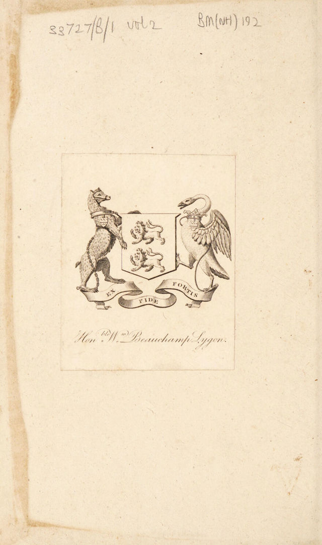 digitised image 2