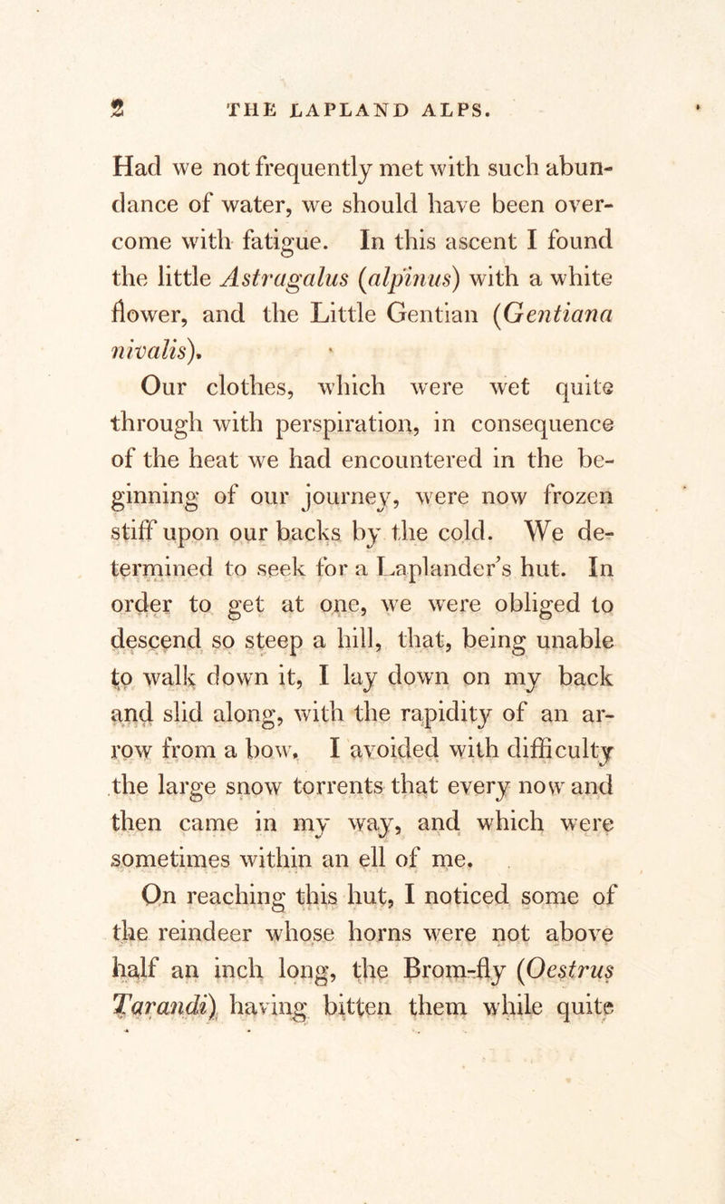 Had we not frequently met with such abun¬ dance of water, we should have been over¬ come with fatigue. In this ascent I found the little Astragalus (alpinus) with a white flower, and the Little Gentian (Gentiana nivalis), Our clothes, which were wet quite through with perspiration, in consequence of the heat we had encountered in the be¬ ginning of our journey, were now frozen stiff upon our backs by the cold. We de¬ termined to seek for a Laplander’s hut. In order to get at one, we were obliged to descend so steep a hill, that, being unable to walk down it, I lay down on my back and slid along, with the rapidity of an ar¬ row from a bow, I avoided with difficulty the large snow torrents that every now and then came in my way, and which were sometimes within an ell of me. On reaching this hut, I noticed some of the reindeer whose horns w^ere not above » t ■ j half an inch long, the Brom-fly (Oestrus Tarandi) having bitten them while quite