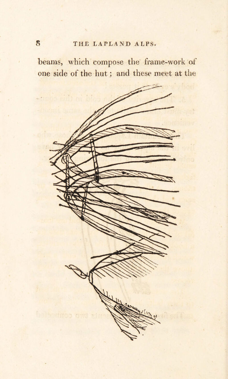 beams, which compose the frame-work of one side of the hut; and these meet at the
