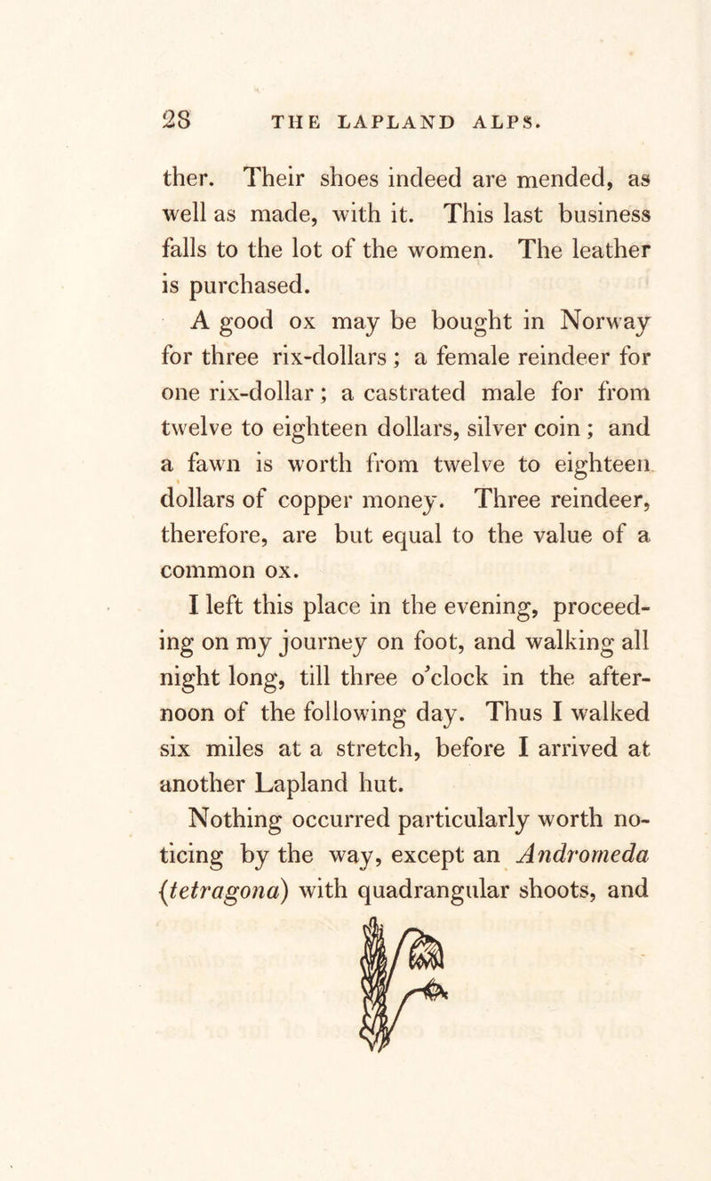 ther. Their shoes indeed are mended, as well as made, with it. This last business falls to the lot of the women. The leather is purchased. A good ox may be bought in Norway for three rix-dollars ; a female reindeer for one rix-dollar; a castrated male for from twelve to eighteen dollars, silver coin; and a fawn is worth from twelve to eighteen dollars of copper money. Three reindeer, therefore, are but equal to the value of a common ox. I left this place in the evening, proceed¬ ing on my journey on foot, and walking all night long, till three o'clock in the after¬ noon of the following day. Thus I walked six miles at a stretch, before I arrived at another Lapland hut. Nothing occurred particularly worth no¬ ticing by the way, except an Andromeda (tetragona) with quadrangular shoots, and