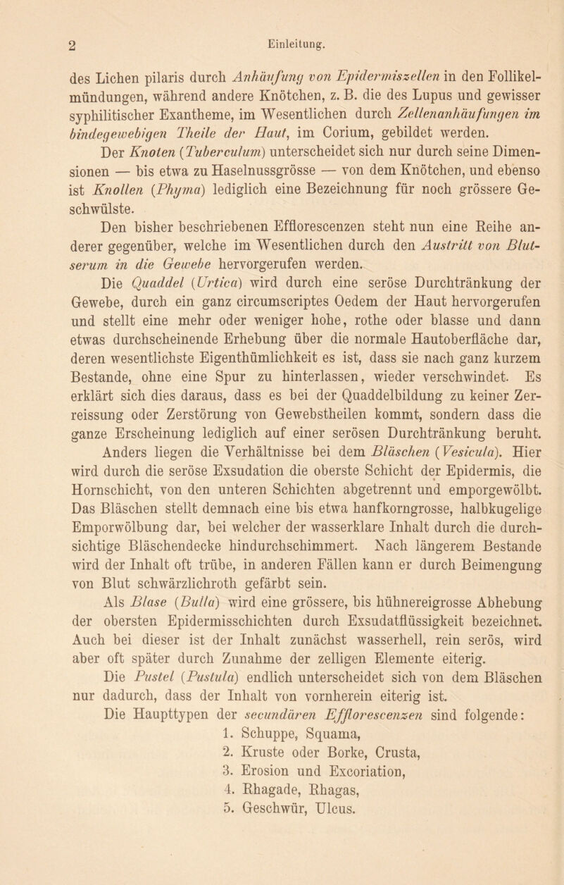 des Lichen pilaris durch Anhäufung von Epidermiszellen in den Follikel¬ mündungen, während andere Knötchen, z. B. die des Lupus und gewisser syphilitischer Exantheme, im Wesentlichen durch Zellenanhäufungen im bindegewebigen Theile der Haut, im Corium, gebildet werden. Der Knoten (Tuberculum) unterscheidet sich nur durch seine Dimen¬ sionen — bis etwa zu Haselnussgrösse — von dem Knötchen, und ebenso ist Knollen (Phyma) lediglich eine Bezeichnung für noch grössere Ge¬ schwülste. Den bisher beschriebenen Efflorescenzen steht nun eine Reihe an¬ derer gegenüber, welche im Wesentlichen durch den Austritt von Blut¬ serum in die Gewebe hervorgerufen werden. Die Quaddel (Ui'tica) wird durch eine seröse Durchtränkung der Gewebe, durch ein ganz circumscriptes Oedem der Haut hervorgerufen und stellt eine mehr oder weniger hohe, rothe oder blasse und dann etwas durchscheinende Erhebung über die normale Hautoberfläche dar, deren wesentlichste Eigenthümlichkeit es ist, dass sie nach ganz kurzem Bestände, ohne eine Spur zu hinterlassen, wieder verschwindet. Es erklärt sich dies daraus, dass es bei der Quaddelbildung zu keiner Zer- reissung oder Zerstörung von Gewebstheilen kommt, sondern dass die ganze Erscheinung lediglich auf einer serösen Durchtränkung beruht. Anders liegen die Verhältnisse bei dem Bläschen (Vesicula). Hier wird durch die seröse Exsudation die oberste Schicht der Epidermis, die Hornschicht, von den unteren Schichten abgetrennt und emporgewölbt. Das Bläschen stellt demnach eine bis etwa hanfkorngrosse, halbkugelige Emporwölbung dar, bei welcher der wasserklare Inhalt durch die durch¬ sichtige Bläschendecke hindurchschimmert. Nach längerem Bestände wird der Inhalt oft trübe, in anderen Fällen kann er durch Beimengung von Blut schwärzlichroth gefärbt sein. Als Blase {Bulla) wird eine grössere, bis hühnereigrosse Abhebung der obersten Epidermisschichten durch Exsudatflüssigkeit bezeichnet. Auch bei dieser ist der Inhalt zunächst wasserhell, rein serös, wird aber oft später durch Zunahme der zelligen Elemente eiterig. Die Pustel (Pustula) endlich unterscheidet sich von dem Bläschen nur dadurch, dass der Inhalt von vornherein eiterig ist. Die Haupttypen der secundären Efflorescenzen sind folgende: 1. Schuppe, Squama, 2. Kruste oder Borke, Crusta, 3. Erosion und Excoriation, 4. Rhagade, Rhagas, 5. Geschwür, Ulcus.