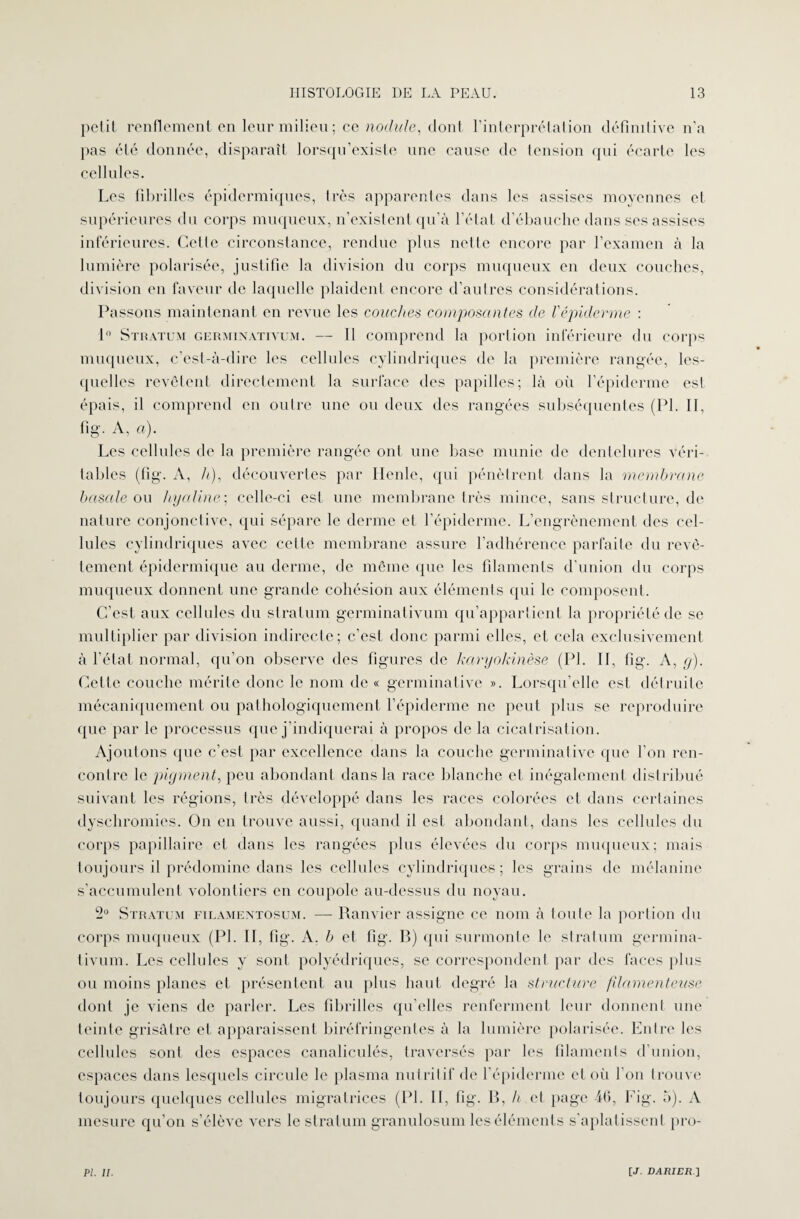 petit renflement en leur milieu; ce nodule, dont l’interprétation définitive n’a pas été donnée, disparaît lorsqu’existe une cause de tension qui écarte les cellules. Les fibrilles épidermiques, très apparentes dans les assises moyennes et supérieures du corps muqueux, n’existent qu’à l’état d’ébauche dans ses assises inférieures. Celle circonstance, rendue plus nette encore par l’examen à la lumière polarisée, justifie la division du corps muqueux en deux couches, division en faveur de laquelle plaident encore d’autres considérations. Passons maintenant en revue les couches composantes de l'épiderme : 1° Stratum germinativum. — 11 comprend la portion inférieure du corps muqueux, c’est-à-dire les cellules cylindriques de la première rangée, les¬ quelles revêtent directement la surface des papilles; là où l’épiderme est épais, il comprend en outre une ou deux des rangées subséquentes (PI. II, fig. A, a). Les cellules de la première rangée ont une base munie de dentelures véri¬ tables (fig. A, A), découvertes par Henle, qui pénètrent dans la membrane basale ou hyaline ; celle-ci est une membrane très mince, sans structure, de nature conjonctive, qui sépare le derme et l’épiderme. L’engrènement des cel¬ lules cylindriques avec celte membrane assure l’adhérence parfaite du revê¬ tement épidermique au derme, de même que les filaments d’union du corps muqueux donnent une grande cohésion aux éléments qui le composent. C’est aux cellules du stratum germinativum qu’appartient la propriété de se multiplier par division indirecte; c’est donc parmi elles, et cela exclusivement à l’état normal, qu’on observe des figures de karyolcinèse (PI. II, fig. A, y). Cette couche mérite donc le nom de « germinative ». Lorsqu’elle est détruite mécaniquement ou pathologiquement l’épiderme ne peut plus se reproduire que par le processus que j’indiquerai à propos de la cicatrisation. Ajoutons que c’est par excellence dans la couche germinative que l’on ren¬ contre le pigment, peu abondant dans la race blanche et inégalement distribué suivant les régions, très développé dans les races colorées et dans certaines dyschromies. On en trouve aussi, quand il est abondant, dans les cellules du corps papillaire et dans les rangées plus élevées du corps muqueux; mais toujours il prédomine dans les cellules cylindriques; les grains de mélanine s’accumulent volontiers en coupole au-dessus du noyau. 2° Stratum filamentosum. —- Ramier assigne ce nom à toute la portion du corps muqueux (PI. II, fig. A. b et fig. B) qui surmonte le stratum germina¬ tivum. Les cellules y sont polyédriques, se correspondent par des faces plus ou moins planes et présentent au plus haut degré la structure filamenteuse dont je viens de parler. Les fibrilles qu’elles renferment leur donnent une teinte grisâtre et apparaissent biréfringentes à la lumière polarisée. Entre les cellules sont des espaces canaliculés, traversés par les filaments d’union, espaces dans lesquels circule le plasma nutritif de l’épiderme et où l’on trouve toujours quelques cellules migratrices (PL II, fig. B, h et page 46, Fig. 5). A mesure qu’on s’élève vers le stratum granulosum les éléments s’aplatissent pro-