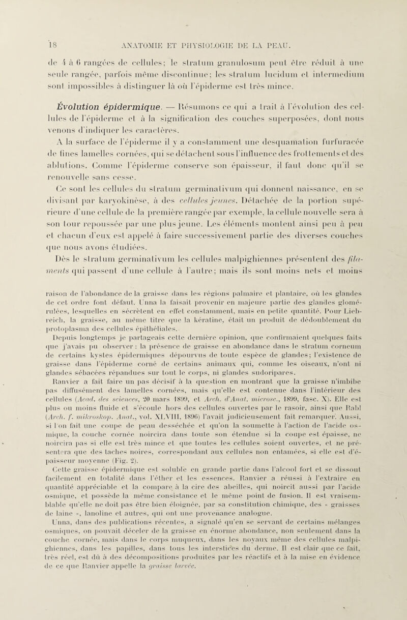 de 4 à (> rangées <le cellules; le stratum granulosum peut être réduit à une seule rangée, parfois même discontinue; les stratum lueidum et inlermcdium sont impossibles à distinguer là où l’épiderme est très mince. Évolution épidermique. — Résumons ce qui a trait à l’évolution des cel¬ lules de l’épiderme cl à la signification dos couches superposées, dont nous venons d’indiquer les caractères. A la surface de l’épiderme il y a constamment une desquamation l’urfuracée de fines lamelles cornées, qui se détachent sous l'influence des t rot temenls et des ablutions. Comme l’épiderme conserve son épaisseur, il faut donc qu’il se renouvelle sans cesse. Ce sont les cellules du stratum germinalivum qui donnent naissance, en se divisant par karyokinèse, à des cellules jeunes. Détachée de la portion supé¬ rieure d’une cellule de la première rangée par exemple, la cellule nouvelle sera à son tour repoussée par une plus jeune. Les éléments montent ainsi peu à peu et chacun d’eux est appelé à faire successivement partie des diverses couches que nous avons étudiées. Dès le stratum germinalivum les cellules malpighiennes présentent des fila¬ ments qui passent d’une cellule à l’autre; mais ils sont moins nets et moins raison de l’abondance de la graisse dans les régions palmaire et plantaire, où les glandes de cet ordre font défaut. Unna la faisait provenir en majeure partie des glandes glomé- rulées, lesquelles en sécrètent en effet constamment, mais en petite quantité. Pour Lieb- reicli, la graisse, au même titre que la kératine, était un produit de dédoublement du protoplasma des cellules épithéliales. Depuis longtemps je partageais cette dernière opinion, que confirmaient quelques faits que j’avais pu observer: la présence de graisse en abondance dans le stratum corneum de certains kystes épidermiques dépourvus de toute espèce de glandes; l’existence de graisse dans l’épiderme corné de certains animaux qui, comme les oiseaux, n’ont ni glandes sébacées répandues sur tout le corps, ni glandes sudoriparcs. Ramier a fait faire un pas décisif à la question en montrant que la graisse n’imbibe l>as diffusément des lamelles cornées, mais qu’elle est contenue dans l’intérieur des cellules (Aracl. des sciences, AI mars 1809, et Arch. d'Anat. microsc., 1890, fasc. X). Elle esl plus ou moins fluide et s’écoule hors des cellules ouvertes par le rasoir, ainsi que Raid (Arch. /'. mikroskop. Anat., vol. XLYIII, 1800) l’avait judicieusement fait remarquer. Aussi, si 1 on fait une coupe de peau desséchée et qu’on la soumette à l’action de l’acide os- mique, la couche cornée noircira dans toute son étendue si la coupe est épaisse, ne noircira pas si elle est très mince et que toutes les cellules soient ouvertes, et ne pré¬ sentera que des taches noires, correspondant aux cellules non entamées, si elle est d’é¬ paisseur moyenne (Fig. 2). Cette graisse épidermique est soluble en grande partie dans l’alcool fort et se dissout facilement en totalité dans l’éther et les essences. Ramier a réussi à l’extraire en quantité appréciable et la compare à la cire des abeilles, qui noircit aussi par l’acide osmique, et possède la même consistance et le même point de fusion. Il est vraisem¬ blable qu’elle ne doit pas être bien éloignée, par sa constitution chimique, des « graisses de laine », lanoline et autres, qui ont une provenance analogue. Unna, dans des publications récentes, a signalé qu’en se servant de certains mélanges osmiques, on pouvait déceler de la graisse en énorme abondance, non seulement dans la couche cornée, mais dans le corps muqueux, dans les noyaux même des cellules malpi¬ ghiennes, dans les papilles, dans tous les interstic'es du derme. Il est clair que ce fait, très réel, est dû à des décompositions produites par les réactifs et à la mise en évidence de ce que Ram ier appelle la graisse larcce.