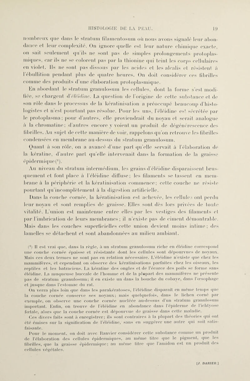 nombreux que dans le si rai uni (ilainentosuin où nous avons signalé leur abon¬ dance cl leur complexité. On ignore quelle est leur nature chimique exacte, on sait seulement qu ils ne sont pas de simples prolongements protoplas¬ miques, car ils ne se colorent pas par la thionine qui teint les corps cellulaires (mi violet. Ils ne sont pas dissous par les acides cl les alcalis et résistent à l'ébullition pendant plus de quatre heures. On doit considérer ces fibrilles comme des produits d une élaboration protoplasmique. En abordant le stratum granulosum les cellules, dont la forme s'est modi¬ fiée, se chargent d'éléidine. La question de l’origine de cette substance et de son rôle dans le processus de la kératinisation a préoccupé beaucoup d’histo¬ logistes et n’esl pourtant pas résolue. Pour les uns, l’éléidine es! sécrétée par le protoplasma; pour d’autres, elle proviendrait du noyau et serait analogue à la chromatine; d autres encore y voient un produit de dégénérescence des fibrilles. Au sujet de cette manière de voir, rappelons qu’on retrouve les fibrilles condensées en membrane au-dessus du stratum granulosum. Quant à son rôle, on a avancé d'une part qu elle servait à 1 élaboration «h' la kératine, d’autre part qu’elle intervenait dans la formation de la graisse épidermique (*). Au niveau du stratum inlermédium, les grains d’éléidine disparaissent brus¬ quement et font place à l’éléidine diffuse; les filaments se tassent en mem¬ brane à la périphérie et la kératinisation commence; celle couche ne résiste* pourtant qu'incomplètemenl à la digestion artificielle. Dans la couche cornée, la kératinisation est achevée, les cellules ont perdu leur noyau et sont remplies de graisse, filles sont dès lors privées de toute vitalité. L’union est maintenue entre elles par les vestiges des filaments cl par l’imbrication de leurs membranes; il n'existe pas de ciment démontrable. Mais dans les couches superficielles cette union devient moins intime; des lamelles se détachent et sont abandonnées au milieu ambiant. (') Il est vrai que, dans la règle, à un stratum granulosum riche en éléidine correspond une couche cornée épaisse et résistante dont les cellules sont dépourvues de noyaux. Mais ces deux termes ne sont pas en relation nécessaire. L’éléidine n'existe que chez les mammifères, et cependant on observe des kératinisations parfaites chez les oiseaux, les reptiles et les batraciens. La kératine des ongles et de l’écorce des poils se forme sans éléidine. La muqueuse buccale de l’homme et de la plupart des mammifères ne présente pas de stratum granulosum; il en existe un dans la bouche du cobaye, dans l’œsophage et jusque dans l’estomac du rat. On verra plus loin «pie dans les parakératoses, l’éléidine disparait en même temps que la couche cornée conserve ses noyaux; mais quelquefois, dans le lichen corné par exemple, on observe une couche cornée nucléée au-dessus d un stratum granulosum important. Enfin, on trouve de l’éléidine en abondance dans l’épiderme (b* I ichtyose fœtale, alors que la couche cornée est dépourvue de graisse dans cette maladie. Ces divers faits sont à enregistrer; ils sont contraires à la plupart des théories qui oui été émises sur la signification de l’éléidinc, sans en suggérer une autre qui soit satis¬ faisante. Pour le moment, on doit avec Ramier considérer celle substance comme un produit de l’élaboration des cellules épidermiques, au même litre que le pigment, que les fibrilles, que la graisse épidermique; au même titre que l’amidon est un produit des cellules végétales.