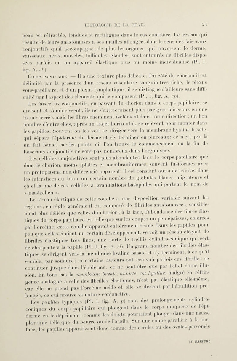 peau est rétractée, tondues et rectilignes dans le cas contraire. Le réseau qui résulte de leurs anastomoses a ses mailles allongées dans le sens des faisceaux conjonctifs qu’il accompagne ; de plus les organes qui traversent le derme, vaisseaux, nerfs, muscles, follicules, glandes, sont entourés de fibrilles dispo¬ sées parfois eu un appareil élastique plus ou moins individualisé (PI. I, fig. A, cl'). Corps papillaire. — 11 a une texture plus délicate. Pu côté du chorion il est délimité par la présence d un réseau vasculaire sanguin très riche, le plexus sous-papillaire, et d’un plexus lymphatique; il se distingue d’ailleurs sans diffi¬ culté par l’aspect des éléments qui le composent (PI. I, fig. A, cp). Les faisceaux conjonctifs, en passant du chorion dans le corps papillaire, se divisent et s’amincissent ; ds ne s entrecroisent plus par gros faisceaux en une trame serrée, mais les fibres cheminent isolement dans toute direction ; un bon nombre d entre elles, après un trajet horizontal, se relèvent pour monter dans les papilles. Souvent on les voit se diriger vers la membrane h\ahno basale, qui sépare l’épiderme du derme et s’y terminer en pinceaux; ce n’est pas là un fait banal, car les points où l’on trouve le commencement ou la fin de faisceaux conjonctifs ne sont pas nombreux dans 1 organisme. Les cellules conjonctives soûl plus abondantes dans le corps papillaire que dans le chorion, moins aplaties et membraniformes, souvent fusiformes avec un protoplasma non différencié apparent. 11 est constant aussi de trouver dans les interstices du tissu un certain nombre de globules blancs migrateurs et cà et la une de ces cellules a granulations basophiles qui poitenl le nom d< « mastzellen ». Le réseau élastique de cette couche a une disposition variable suivant h régions; en règle générale il est composé de fibrilles anastomosées, sensible¬ ment plus déliées que celles du chorion ; à la face, l’abondance des fibres élas¬ tiques du corps papillaire est telle que surles coupes un peu épaisses, colorées par l’orcéine, celte couche apparaît entièrement brune. Dans les papilles, pour peu que celles-ci aient un certain développement, se voit un réseau élégant de fibrilles élastiques très fines, une sorte de treillis cylindro-conique qui sert de charpente à la papille (PL I, fig. A, et). Un grand nombre des fibrilles élas¬ tiques se dirigent vers la membrane hyaline basale et s’y terminent, à ce qu d semble, par soudure; si certains auteurs ont cru voir parfois ces fibrilles se continuer jusque dans l’épiderme, ce ne peut être que par 1 effet dune illu¬ sion. En tous cas la membrane basale, an/liste, ou hyaline, maigre sa ré tri n- gence analogue à celle des fibrilles élastiques, n’est pas élastique elle-même, car elle ne prend pas l'orcéine acide et elle se dissout par 1 ébullition pro¬ longée, ce qui prouve sa nature conjonctive. Les papilles typiques (PL I, fig- A, p) sont des prolongements cylindro- coniques du corps papillaire qui plongent dans le corps muqueux de 1 épi¬ derme en le déprimant, comme les doigts pourraient plonger dans une masse plastique telle que du beurre ou de l’argile. Sur une coupe parallèle à la sur¬ face, les papilles apparaissent donc comme des cercles ou des ovales parsemés