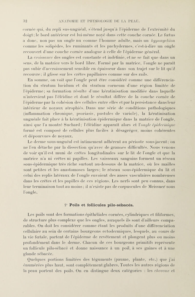 cornée qui, du repli sus-unguéal, s’étend jusqu'à 1 épiderme de l'extrémité du doigt; le bord antérieur est lui-mème noyé dans cette couche cornée. Le fœtus a donc, non pas un ongle nu comme l’homme adulte, mais un hyponychion comme les solipèdes, les ruminants et les pachydermes, c’est-à-dire un ongle recouvert d’une couche cornée analogue à celle de l’épiderme général. La croissance des ongles est constante et indéfinie, et ne se fait que dans un sens, de la matrice vers le bord libre. Formé par la matrice, l'ongle ne paraît pas subir d’accroissement sensible en épaisseur dans son trajet sur le lit qu’il recouvre; il glisse sur les crêtes papillaires comme sur des rails. En somme, on voit ([lie l’ongle peut être considéré comme une différencia¬ tion du stratum lucidum et du stratum corneum d’une région limitée de l’épiderme; sa formation résulte d’une kératinisation modifiée dans laquelle n’intervient pas l’éléidine et dont le résultat diffère de la couche cornée de l’épiderme par la cohésion des cellules entre elles et par la persistance dans leur intérieur de noyaux atrophiés. Dans une série de conditions pathologiques (inflammation chronique, psoriasis, pustules de variole), la kératinisation unguéale fait place à la kératinisation épidermique dans la matrice de l’ongle, ainsi que l’a montré Suchard; l'éléidine apparaît alors et Y ongle épidermique formé est composé de cellules plus faciles à désagréger, moins cohérentes et dépourvues de noyaux. Le derme sous-unguéal est intimement adhérent au périoste sous-jacent; on ne l'en détache par la dissection qu’avec de granoes difficultés. Nous venons de voir qu’il est muni de crêtes longitudinales sur le lit de l’ongle et que la matrice n’a ni crêtes ni papilles. Les vaisseaux sanguins forment un réseau sous-épidermique très riche surtout au-dessous de la matrice, où les mailles sont petites et les anastomoses larges; le réseau sous-épidermique du lit et celui des replis latéraux de l’ongle envoient des anses vasculaires nombreuses dans les crêtes et les papilles de ces régions. Les nerfs sont peu connus, dans leur terminaison tout au moins; il n’existe pas de corpuscules de Meissner sous l’ongle. 2° Poils et follicules pilo-sébacés. Les poils sont des formations épithéliales cornées, cylindriques et filiformes, de structure plus complexe que les ongles, auxquels ils sont d’ailleurs compa¬ rables. On doit les considérer comme étant les produits d’une différenciation cellulaire au sein de certains bourgeons ectodermiques, lesquels, au cours de la vie fœtale, partent de l’épiderme de revêtement et plongent plus ou moins profondément dans le derme. Chacun de ces bourgeons primitifs représente un follicule pilo-sébacé et donne naissance à un poil, à ses gaines et à une glande sébacée. Quelques portions limitées des téguments (paume, plante, etc.) que j’ai énumérées plus haut, sont complètement glabres. Toutes les autres régions de la peau portent des poils. On en distingue deux catégories : les cheveux et