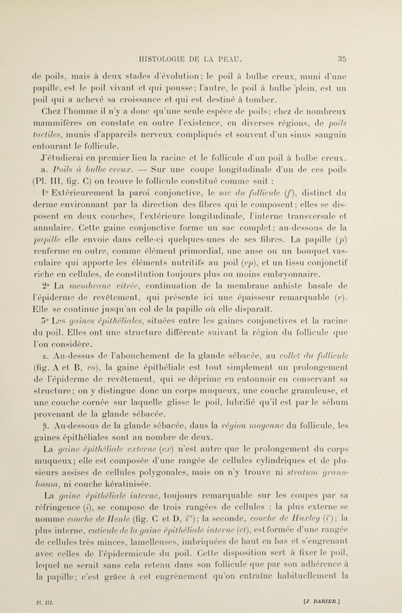 de poils, mais à deux stades d’évolution; le poil à bulbe creux, muni d’une papille, est le poil vivant et qui pousse; l’autre, le poil à bulbe plein, est un poil qui a achevé sa croissance et qui est destiné à tomber. Chez l’homme il n’y a donc qu’une seule espèce de poils; chez de nombreux mammifères on constate en outre l’existence, en diverses régions, de poils tactiles, munis d’appareils nerveux compliqués et souvent d’un sinus sanguin entourant le follicule. J étudierai en premier lieu la racine et le follicule d’un poil à bulbe creux. a. Poils à bulbe creux. — Sur une coupe longitudinale d’un de ces poils (PI. III, fig. C) on trouve le follicule constitué comme suit : 1° Extérieurement la paroi conjonctive, le sac du follicule (/’), distinct du derme environnant par la direction des fibres qui le composent; elles se dis¬ posent en deux couches, l’extérieure longitudinale, l’interne transversale et annulaire. Cette gaine conjonctive forme un sac complet; au-dessous de la papille elle envoie dans celle-ci quelques-unes de ses fibres. La papille (p) renferme en outre, comme élément primordial, une anse ou un bouquet vas¬ culaire qui apporte les éléments nutritifs au poil (vp), et un tissu conjonctif riche en cellules, de constitution toujours plus ou moins embryonnaire. 2U La membrane vitrée, continuation de la membrane anhiste basale de l’épiderme de revêtement, qui présente ici une épaisseur remarquable (v). Elle se continue jusqu’au col de la papille où elle disparaît. o° Les gaines épithéliales, situées entre les gaines conjonctives et la racine du poil. Elles ont une structure différente suivant la région du follicule que l’on considère. a. Au-dessus de l’abouchement de la glande sébacée, au collet du follicule (fig. A et B, co), la gaine épithéliale est tout simplement un prolongement de l’épiderme de revêtement, qui se déprime en entonnoir en conservant sa structure; on y distingue donc un corps muqueux, une couche granuleuse, et une couche cornée sur laquelle glisse le poil, lubrifié qu’il est par le sébum provenant de la glande sébacée. [3. Au-dessous de la glande sébacée, dans la région moyenne du follicule, les gaines épithéliales sont au nombre de deux. La gaine épithéliale externe {ex) n’est autre que le prolongement du corps muqueux; elle est composée d’une rangée de cellules cylindriques et de plu¬ sieurs assises de cellules polygonales, mais on n’y trouve ni stratum grcinu- losum, ni couche kératinisée. La gaine épithéliale interne, toujours remarquable sur les coupes par sa réfringence (i), se compose de trois rangées de cellules : la plus externe se nomme couche de Ilenle (fig. G et D, i) ; la seconde, couche de Huxley (d); la plus interne, cuticule de la gaine épithéliale interne (et), est formée d’une rangée de cellules très minces, lamelleuses, imbriquées de haut en bas et s’engrenant avec celles de l’épidermicule du poil. Cette disposition sert à fixer le poil, lequel ne serait sans cela retenu dans son follicule que par son adhérence «à la papille; c’est grâce à cet engrènement qu’on entraîne habituellement la