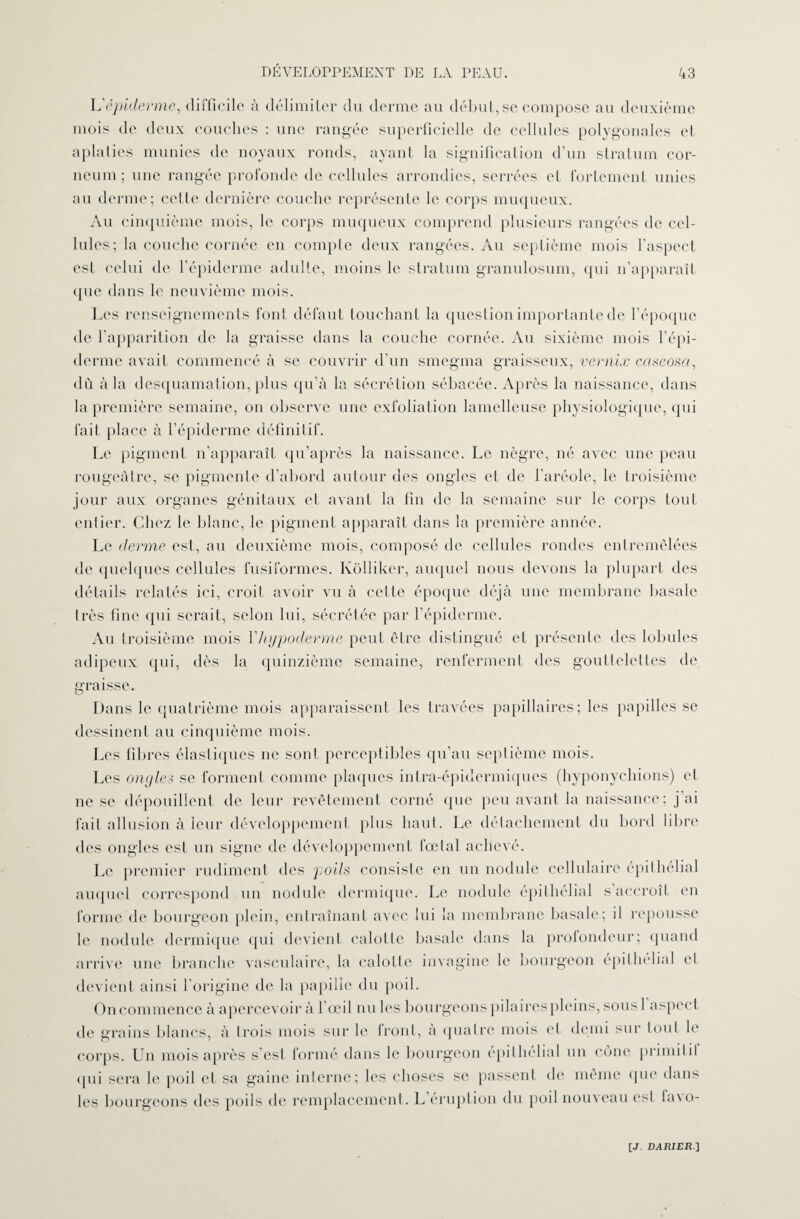 L'épiderme, difficile à délimiter du derme au début, se compose au deuxième mois de deux couches : une rangée superficielle de cellules polygonales et aplaties munies de noyaux ronds, ayant la signification d'un stratum cor- neum ; une rangée profonde de cellules arrondies, serrées et fortement unies au derme; cette dernière couche représente le corps muqueux. Au cinquième mois, le corps muqueux comprend plusieurs rangées de cel¬ lules; la couche cornée en compte deux rangées. Au septième mois l’aspect est celui de l’épiderme adulte, moins le stratum granulosum, qui n’apparaît que dans le neuvième mois. Les renseignements font défaut touchant la question importante de l’époque de l’apparition de la graisse dans la couche cornée. Au sixième mois l’épi¬ derme avait commencé à se couvrir d’un smegma graisseux, vernix caseosa, dû à la desquamation, plus qu’à la sécrétion sébacée. Après la naissance, dans la première semaine, on observe une exfoliation lamelleuse physiologique, qui fait place à l’épiderme définitif. Le pigment n’apparaît qu’après la naissance. Le nègre, né avec une peau rougeâtre, se pigmente d’abord autour des ongles et de l’aréole, le troisième jour aux organes génitaux et avant la fin de la semaine sur le corps tout entier. Chez le blanc, le pigment apparaît dans la première année. Le derme est, au deuxième mois, composé de cellules rondes entremêlées de quelques cellules fusiformes. Ivôlliker, auquel nous devons la plupart des détails relatés ici, croit avoir vu à celte époque déjà une membrane basale très fine qui serait, selon lui, sécrétée par l’épiderme. Au troisième mois Yliypoderme peut être distingué et présente des lobules adipeux qui, dès la quinzième semaine, renferment des gouttelettes de graisse. Dans le quatrième mois apparaissent les travées papillaires; les papilles se dessinent au cinquième mois. Les fibres élastiques ne sont perceptibles qu’au septième mois. Les ongles se forment comme plaques intra-épidermiques (hyponychions) et ne se dépouillent de leur revêtement corné que peu avant la naissance ; j’ai lait allusion à leur développement plus haut. Le détachement du bord libre des ongles est un signe de développement fœtal achevé. Le premier rudiment des poils consiste en un nodule cellulaire épithélial auquel correspond un nodule dermique. Le nodule épithélial s accroît en forme de bourgeon plein, entraînant avec lui la membrane basale; il repousse le nodule dermique qui devient calotte basale dans la protondeur; quand arrive une branche vasculaire, la calotte invaginé le bourgeon épithélial et devient ainsi l’origine de la papille du poil. On commence à apercevoir à l’œil nu les bourgeons pilaires pleins, sous 1 aspect de grains blancs, à trois mois sur le front, à quatre mois et demi sur tout le corps. Un mois après s’est formé dans le bourgeon épithélial un cône primitif qui sera le poil et sa gaine interne; les choses se passent de même que dans les bourgeons des poils de remplacement. L’éruption du poil nouveau est lavo-