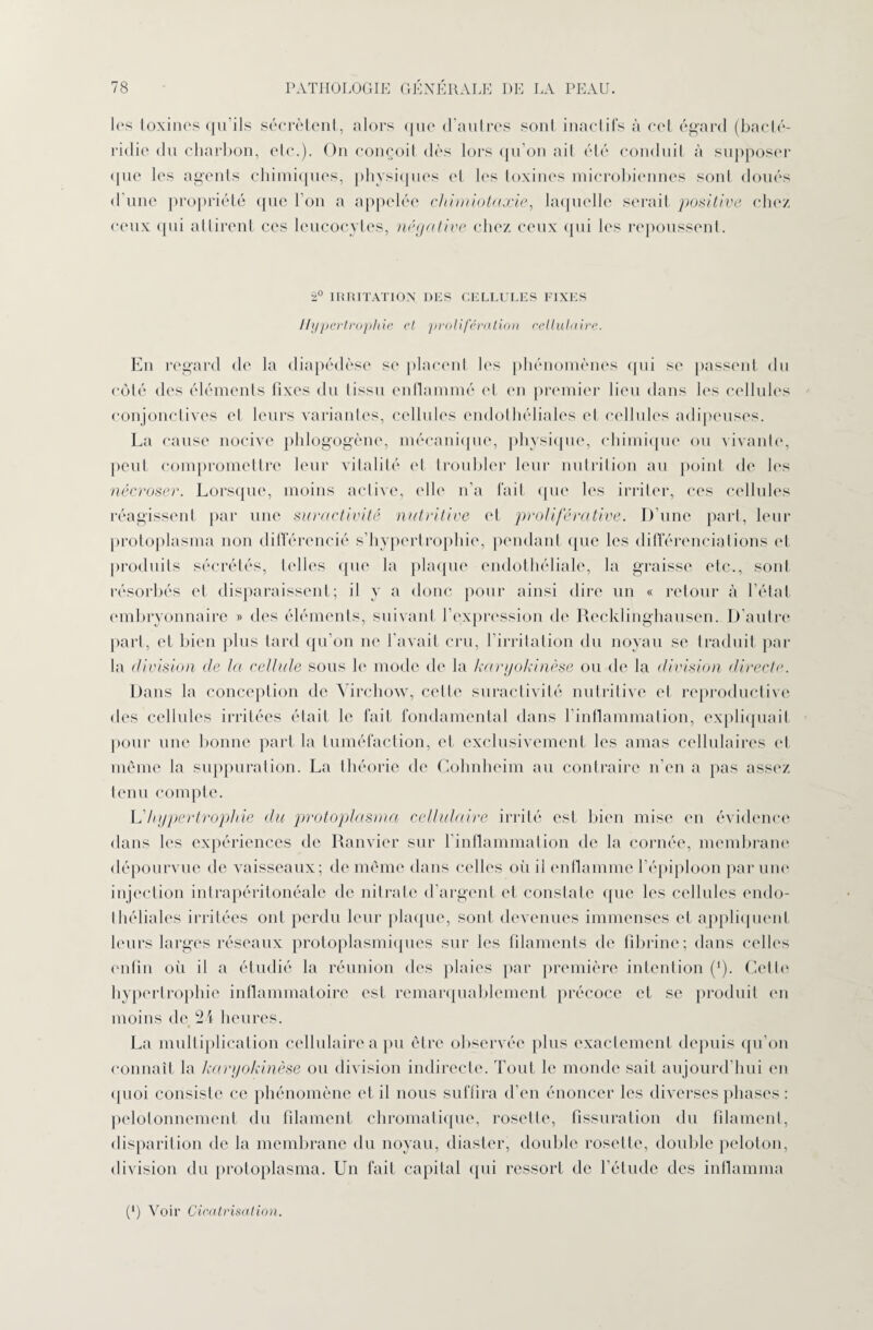 les toxines qu’ils sécrètent, alors que d’autres sont inactifs à cet égard (bacté¬ ridie du charbon, elc.). On conçoit dès lors qu’on ait été conduit à supposer <pie les agents chimiques, physiques et les toxines microbiennes sont doués d une propriété que l’on a appelée chimiotaxie, laquelle serait positive chez ceux qui attirent ces leucocytes, négative chez ceux qui les repoussent. 2° IRRITATION DES CELLULES FIXES Hypertrophie et prolifération cellulaire. En regard de la diapédèse se placent les phénomènes qui se passent du côté des éléments fixes du tissu enflammé et en premier lieu dans les cellules conjonctives et leurs variantes, cellules endothéliales et cellules adipeuses. La cause nocive phlogogène, mécanique, physique, chimique ou vivante, peut compromettre leur vitalité et troubler leur nutrition au point de les nécroser. Lorsque, moins active, elle n’a fait (pie les irriter, ces cellules réagissent par une suractivité nutritive et proliférative. D’une part, leur protoplasma non différencié s’hypertrophie, pendant que les différenciations et produits sécrétés, telles que la plaque endothéliale, la graisse etc., sont résorbés et disparaissent; il y a donc pour ainsi dire un « retour à l’état embryonnaire » des éléments, suivant l’expression de Recklinghausen. D’autre part, et bien plus tard qu’on ne l'avait cru, l’irritation du noyau se traduit par la division de la cellule sous le mode de la karyokinèse ou de la division directe. Dans la conception de Virchow, celle suractivité nutritive et reproductive des cellules irritées était le fait fondamental dans b inflammation, expliquait pour une bonne part la tuméfaction, et exclusivement les amas cellulaires et même la suppuration. La théorie de Cohnheim au contraire n’en a pas assez tenu compte. U hypertrophie du protoplasma cellulaire irrité est bien mise en évidence dans les expériences de Ranvier sur l’inflammation de la cornée, membrane dépourvue de vaisseaux; de même dans celles où il enflamme l’épiploon par une injection intrapéritonéale de nitrate d’argent et constate que les cellules endo¬ théliales irritées ont perdu leur plaque, soûl devenues immenses et appliquent leurs larges réseaux protoplasmiques sur les filaments de fibrine; dans celles enfin où il a étudié la réunion des plaies par première intention (*). Cette hypertrophie inflammatoire est remarquablement précoce et se produit en moins de 24 heures. La multiplication cellulaire a pu être observée plus exactement depuis qu’on connaît la karyokinèse ou division indirecte. Tout le monde sait aujourd’hui en quoi consiste ce phénomène et il nous suffira d’en énoncer les diverses phases : pelolonnement du filament chromatique, rosette, fissuration du filament, disparition de la membrane du noyau, diaster, double rosette, double peloton, division du protoplasma. Un fait capital (pii ressort de l’étude des inflamma (’) Voir Cicatrisation.