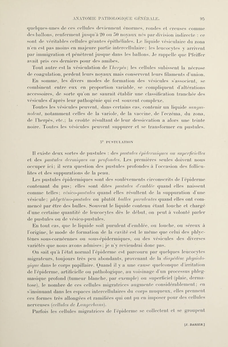 quelques-unes de cos cellules deviennent énormes, rondes et creuses comme des ballons, renferment jusqu’à 20 ou ôft noyaux nés par division indirecte : ce sont de véritables cellules géantes épithéliales. Le liquide vésiculaire du zona n'en est pas moins en majeure partie intercellulaire; les leucocytes y arrivent par immigration et pénètrent jusque dans les ballons. .le rappelle que Pfeiffer avait pris ces derniers pour des amibes. Tout autre est la vésiculation de \'herpès\ les cellules subissent la nécrose de coagulation, perdent leurs noyaux mais conservent leurs filaments d’union. En somme, les divers modes de formation des vésicules s’associent, se combinent entre eux en proportion variable, se compliquent d’altérations accessoires, de sorte qu’on ne saurait établir une classification tranchée des vésicules d’après leur pathogénie qui est souvent complexe. Toutes les vésicules peuvent, dans certains cas, contenir un liquide sangui¬ nolent, notamment celles de la variole, de la vaccine, de l’eczéma, du zona, de l’herpès, etc.; la croûte résultant de leur dessiccation a alors une teinte noire. Toutes les vésicules peuvent suppurer et se transformer en pustules. 5° PUSTULATION 11 existe deux sortes de pustules : des pustules épidermiques ou superficielles et des pustules dermiques ou profondes. Les premières seules doivent nous occuper ici; il sera question des pustules profondes à l’occasion des follicu¬ lites et des suppurations de la peau. Les pustules épidermiques sont des soulèvements circonscrits de l'épiderme contenant du pus; elles sont dites pustules d'emblée quand elles naissent comme telles; vésico-pustules quand elles résultent de la suppuration d’une vésicule; plilycténo-pustules ou plutôt bulles purulentes quand elles ont com¬ mencé par être des bulles. Souvent le liquide contenu étant louche et chargé d’une certaine quantité de leucocytes dès le début, on peut à volonté parler de pustules ou de vésico-pustules. En tout cas, que le liquide soit purulent d’emblée, ou louche, ou séreux à l'origine, le mode de formation de la cavité est le même que celui des phlyc- tènes sous-cornéennes ou sous-épidermiques, ou des vésicules des diverses variétés que nous avons admises; je n’y reviendrai donc pas. On sait qu'à l’état normal l’épiderme est parcouru par quelques leucocytes migrateurs, toujours très peu abondants, provenant de la diapédèse physiolo¬ gique dans le corps papillaire. Quand il y a une cause quelconque <1 irritation de l’épiderme, artificielle ou pathologique, au voisinage d’un processus plileg- masique profond (tumeur blanche, par exemple) ou superficiel (plaie, derma¬ tose), le nombre de ces cellules migratrices augmente considérablement; en s insinuant dans les espaces intercellulaires du corps muqueux, elles prennent ces formes très allongées et ramifiées qui ont pu en imposer pour des cellules nerveuses (cellules de Langerhans). Parfois les cellules migratrices de l’épiderme se collectent et se groupent