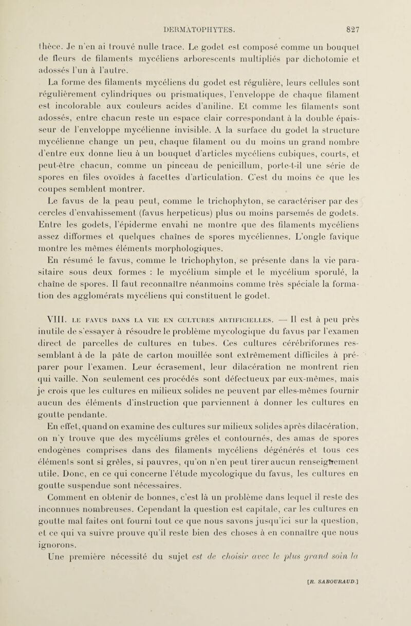 Ihèce. Je n’en ai trouvé nulle trace. Le godet est composé comme un bouquet de fleurs de filaments mycéliens arborescents multipliés par dichotomie et adossés l’un à l’autre. La forme des filaments mycéliens du godet est régulière, leurs cellules sont régulièrement cylindriques ou prismatiques, l’enveloppe de chaque filament est incolorable aux couleurs acides d’aniline. Et comme les filaments sont adossés, entre chacun reste un espace clair correspondant à la double épais¬ seur de l’enveloppe mycélienne invisible. A la surface du godet la structure mycélienne change un peu, chaque filament ou du moins un grand nombre d’entre eux donne lieu à un bouquet d’articles mycéliens cubiques, courts, et peut-être chacun, comme un pinceau de penicillum, porte-t-il une série de spores en files ovoïdes à facettes d’articulation. C’est du moins ce que les coupes semblent montrer. Le favus de la peau peut, comme le trichophyton, se caractériser par des cercles d’envahissement (favus herpeticus) plus ou moins parsemés de godets. Entre les godets, l’épiderme envahi 11e montre que des filaments mycéliens assez difformes et quelques chaînes de spores mycéliennes. L’ongle favique montre les mêmes éléments morphologiques. En résumé le favus, comme le trichophyton, se présente dans la vie para¬ sitaire sous deux formes : le mycélium simple et le mycélium sporulé, la chaîne de spores. Il faut reconnaître néanmoins comme très spéciale la forma¬ tion des agglomérats mycéliens qui constituent le godet. VIII. LE FAVUS DANS LA VIE EN CULTURES ARTIFICIELLES. — Il est à peu près inutile de s'essayer à résoudre le problème mycologique du favus par l’examen direct de parcelles de cultures en tubes. Ces cultures cérébriformes res¬ semblant à de la pâte de carton mouillée sont extrêmement difficiles à pré¬ parer pour l'examen. Leur écrasement, leur dilacération ne montrent rien qui vaille. Non seulement ces procédés sont défectueux par eux-mêmes, mais je crois que les cultures en milieux solides 11e peuvent par elles-mêmes fournir aucun des éléments d'instruction que parviennent à donner les cultures en goutte pendante. En effet, quand on examine des cultures sur milieux solides après dilacération, on 11'y trouve que des mycéliums grêles et contournés, des amas de spores endogènes comprises dans des filaments mycéliens dégénérés et tous ces éléments sont si grêles, si pauvres, qu’on n’en peut tirer aucun renseignement utile. Donc, en ce qui concerne l’étude mycologique du favus, les cultures en goutte suspendue sont nécessaires. Comment en obtenir de bonnes, c’est là un problème dans lequel il reste des inconnues nombreuses. Cependant la question esl capitale, car les cultures en goutte mal faites ont fourni tout ce que nous savons jusqu’ici sur la question, et ce qui va suivre prouve qu’il reste bien des choses à en connaître que nous ignorons. Une première nécessité du sujet est de choisir avec le plus grand soin la