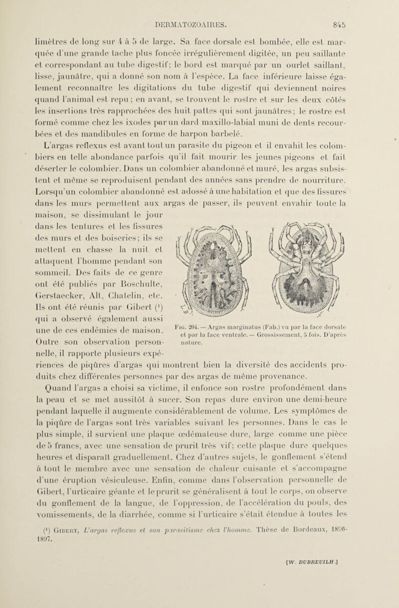 limètres de long- sur 4 à 5 de large. Sa face dorsale esl bombée, elle est mar¬ quée d’une grande tache plus foncée irrégulièrement digitée, un peu saillante et correspondant au tube digestif; le bord est marqué par un ourlet saillant, lisse, jaunâtre, qui a donné son nom à l’espèce. La lace inférieure laisse éga¬ lement reconnaître les digitations du tube digestif qui deviennent noires quand l’animal est repu; en avant, se trouvent le rostre et sur les deux côtés les insertions très rapprochées des huit pattes qui sont jaunâtres; le rostre est formé comme chez les ixodes par un dard maxillo-labial muni de dents recour¬ bées et des mandibules en forme de harpon barbelé. L’argas reflexus est avant tout un parasite du pigeon et il envahit les colom¬ biers en telle abondance parfois qu’il fait mourir les jeunes pigeons et fait déserter le colombier. Dans un colombier abandonné et muré, les argas subsis¬ tent et même se reproduisent pendant des années sans prendre de nourriture. Lorsqu’un colombier abandonné est adossé à une habitation et que des fissures dans les murs permettent aux argas de passer, ils peuvent envahir toute la maison, se dissimulant le jour dans les tentures et les fissures des murs et des boiseries; ils se mettent en chasse la nuit et attaquent l’homme pendant son sommeil. Des faits de ce genre ont été publiés par Boschulte, Gerstaecker, Alt, Chatelin, etc. Ils ont été réunis par Gibert (') qui a observé également aussi une de ces endémies de maison. Outre son observation person¬ nelle, il rapporte plusieurs expé¬ riences de piqûres d’argas qui montrent bien la diversité des accidents pro¬ duits chez différentes personnes par des argas de même provenance. Quand l’argas a choisi sa victime, il enfonce son rostre profondément dans la peau et se met aussitôt à sucer. Son repas dure environ une demi-heure pendant laquelle il augmente considérablement de volume. Les symptômes de la piqûre de l’argas sont très variables suivant les personnes. Dans le cas le plus simple, il survient une plaque œdémateuse dure, large comme une pièce de 5 francs, avec une sensation de prurit très vif; cette plaque dure quelques heures et disparaît graduellement. Chez d’autres sujets, le gonflement s’étend à tout le membre avec une sensation de chaleur cuisante et s’accompagne d’une éruption vésiculeuse. Enfin, comme dans l’observation personnelle de Gibert, l’urticaire géante et le prurit se généralisent à tout le corps, on observe du gonflement de la langue, de l’oppression, de l’accélération du pouls, des vomissements, de la diarrhée, comme si l’urticaire s’était étendue à toutes les (b Gibert, L'argas reflexus et son parasitisme chez l'homme. Thèse de Bordeaux, 18B0- 1897. Fig. 204. — Argas marginatus (Fab.) vu par la face dorsale et par la face ventrale. — Grossissement, 5 fois. D’après nature.