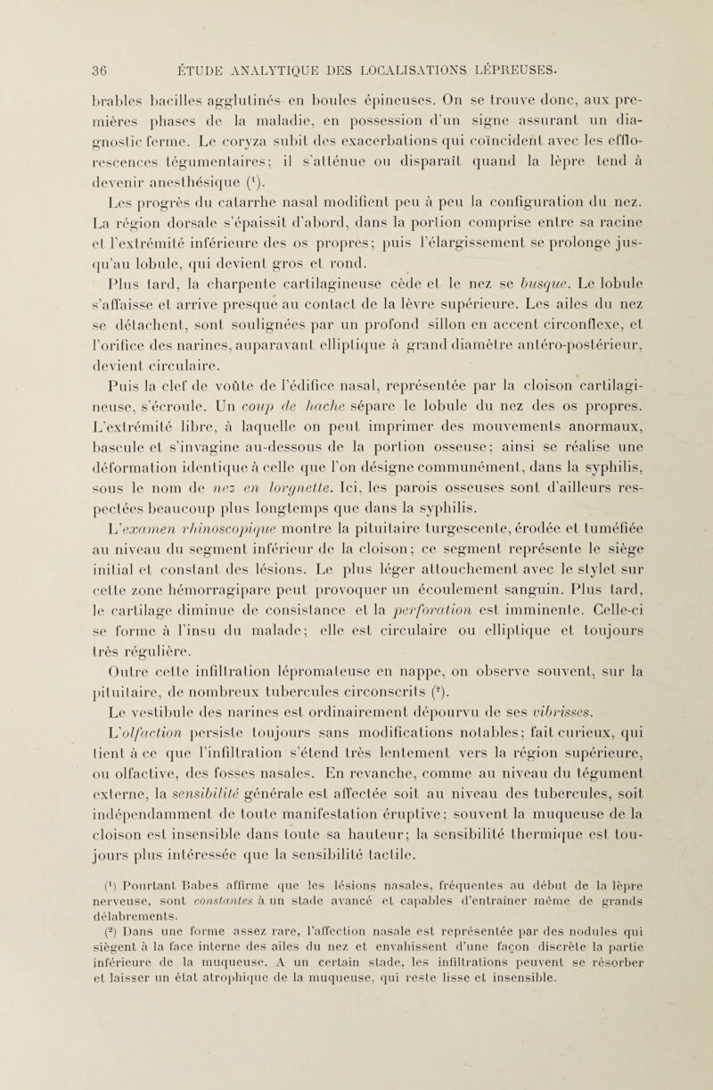 brables bacilles agglutinés en boules épineuses. On se trouve donc, aux pre¬ mières phases de la maladie, en possession d’un signe assurant un dia¬ gnostic ferme. Le coryza subit des exacerbations qui coïncident avec les efflo¬ rescences tégumentaires; il s’atténue ou disparaît quand la lèpre tend à devenir anesthésique (*). Les progrès du catarrhe nasal modifient peu à peu la configuration du nez. La région dorsale s’épaissit d’abord, dans la portion comprise entre sa racine et l’extrémité inférieure des os propres; puis l’élargissement se prolonge jus¬ qu’au lobule, qui devient gros et rond. Plus lard, la charpente cartilagineuse cède et le nez se busqué. Le lobule s’affaisse et arrive presque au contact de la lèvre supérieure. Les ailes du nez se détachent, sont soulignées par un profond sillon en accent circonflexe, et l’orifice des narines, auparavant elliptique à grand diamètre antéro-postérieur, devient circulaire. Puis la clef de voûte de l’édifice nasal, représentée par la cloison cartilagi¬ neuse, s’écroule. Un coup de hache sépare le lobule du nez des os propres. L’extrémité libre, à laquelle on peut imprimer des mouvements anormaux, bascule et s’invagine au-dessous de la portion osseuse; ainsi se réalise une déformation identique à celle que l’on désigne communément, dans la syphilis, sous le nom de nez en lorgnette. Ici, les parois osseuses sont d’ailleurs res¬ pectées beaucoup plus longtemps que dans la syphilis. L'examen rhinoscopique montre la pituitaire turgescente, érodée et tuméfiée au niveau du segment inférieur de la cloison; ce segment représente le siège initial et constant des lésions. Le plus léger attouchement avec le stylet sur cette zone hémorragipare peut provoquer un écoulement sanguin. Plus tard, le cartilage diminue de consistance et la perforation est imminente. Celle-ci se forme à l’insu du malade; elle est circulaire ou elliptique et toujours très régulière. Outre cette infiltration lépromateuse en nappe, on observe souvent, sur la pituitaire, de nombreux tubercules circonscrits (2). Le vestibule des narines est ordinairement dépourvu de ses vibrisses. h'olfaction persiste toujours sans modifications notables; fait curieux, qui tient à ce que l’infiltration s’étend très lentement vers la région supérieure, ou olfactive, des fosses nasales. En revanche, comme au niveau du tégument externe, la sensibilité générale est affectée soit au niveau des tubercules, soit indépendamment de toute manifestation éruptive; souvent la muqueuse de la cloison est insensible dans toute sa hauteur; la sensibilité thermique est tou¬ jours plus intéressée que la sensibilité tactile. (*) Pourtant Babes affirme que les lésions nasales, fréquentes au début de la lèpre nerveuse, sont constantes à un stade avancé et capables d’entraîner même de grands délabrements. (2) Dans une forme assez rare, l’affection nasale est représentée par des nodules qui siègent à la face interne des ailes du nez et envahissent d’une façon discrète la partie inférieure de la muqueuse. A un certain stade, les infiltrations peuvent se résorber et laisser un état atrophique de la muqueuse, qui reste lisse et insensible.