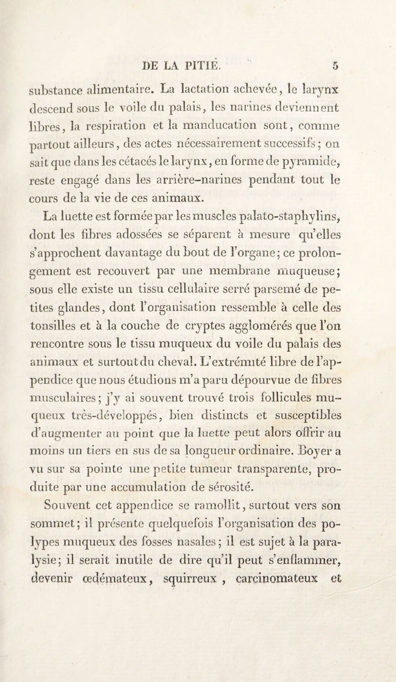 substance alimentaire. La lactation achevée, le larynx descend sous le voile du palais, les narines deviennent libres, la respiration et la manducation sont, comme partout ailleurs, des actes nécessairement successifs; on sait que dans les cétacés le larynx, en forme de pyramide, reste engagé dans les arrière-narines pendant tout le cours de la vie de ces animaux. La luette est formée par les muscles palato-staphylins, dont les fibres adossées se séparent h mesure qu’ elles s’approchent davantage du bout de l’organe; ce prolon¬ gement est recouvert par une membrane muqueuse; sous elle existe un tissu cellulaire serré parsemé de pe¬ tites glandes, dont l’organisation ressemble à celle des tonsilles et à la couche cle cryptes agglomérés que Ton rencontre sous le tissu muqueux du voile du palais des animaux et surtout du cheval. L’extrémité libre de l’ap¬ pendice que nous étudions m’a paru dépourvue de fibres musculaires ; j’y ai souvent trouvé trois follicules mu¬ queux très-développés, bien distincts et susceptibles d’augmenter au point que la luette peut alors offrir au moins un tiers en sus de sa longueur ordinaire. Loyer a vu sur sa pointe une petite tumeur transparente, pro¬ duite par une accumulation de sérosité. Souvent cet appendice se ramollit, surtout vers son sommet; il présente quelquefois l’organisation des po¬ lypes muqueux des fosses nasales; il est sujet à la para¬ lysie; il serait inutile de dire qu’il peut s’enflammer, devenir œdémateux, squirreux , carcinomateux et