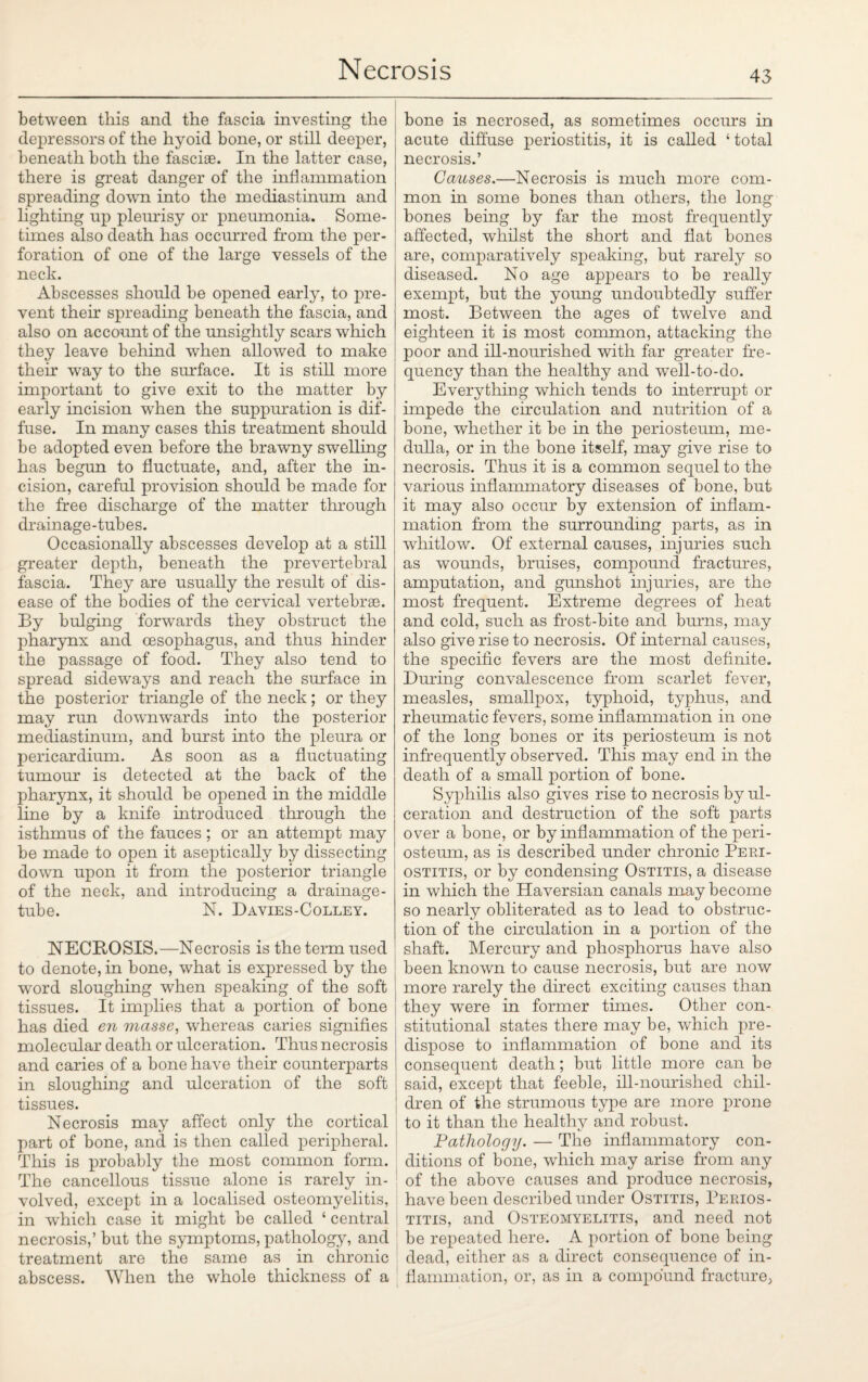 between this and the fascia investing the depressors of the hyoid bone, or still deeper, beneath both the fasciae. In the latter case, there is great danger of the inflammation spreading down into the mediastinum and lighting up pleurisy or pneumonia. Some¬ times also death has occurred from the per¬ foration of one of the large vessels of the neck. Abscesses should be opened early, to pre¬ vent their spreading beneath the fascia, and also on account of the unsightly scars which they leave behind when allowed to make their way to the surface. It is still more important to give exit to the matter by early incision when the suppuration is dif¬ fuse. In many cases this treatment should be adopted even before the brawny swelling has begun to fluctuate, and, after the in¬ cision, careful provision should be made for the free discharge of the matter through drainage-tubes. Occasionally abscesses develop at a still greater depth, beneath the prevertebral fascia. They are usually the result of dis¬ ease of the bodies of the cervical vertebrae. By bulging forwards they obstruct the pharynx and oesophagus, and thus hinder the passage of food. They also tend to spread sideways and reach the surface in the posterior triangle of the neck; or they may run downwards into the posterior mediastinum, and burst into the pleura or pericardium. As soon as a fluctuating tumour is detected at the back of the pharynx, it should be opened in the middle line by a knife introduced through the isthmus of the fauces ; or an attempt may be made to open it aseptically by dissecting down upon it from, the posterior triangle of the neck, and introducing a drainage- tube. N. Davies-Colley. NECROSIS.—Necrosis is the term used to denote, in bone, what is expressed by the word sloughing when speaking of the soft tissues. It implies that a portion of bone has died en masse, whereas caries signifies molecular death or ulceration. Thus necrosis and caries of a bone have their counterparts in sloughing and ulceration of the soft tissues. Necrosis may affect only the cortical part of bone, and is then called peripheral. This is probably the most common form. The cancellous tissue alone is rarely in¬ volved, except in a localised osteomyelitis, in which case it might be called ‘ central necrosis,’ but the symptoms, pathology, and treatment are the same as in chronic abscess. When the whole thickness of a bone is necrosed, as sometimes occurs in acute diffuse periostitis, it is called ‘ total necrosis.’ Causes.—Necrosis is much more com¬ mon in some bones than others, the long bones being by far the most frequently affected, whilst the short and flat bones are, comparatively speaking, but rarely so diseased. No age appears to be really exempt, but the young undoubtedly suffer most. Between the ages of twelve and eighteen it is most common, attacking the poor and ill-nourished with far greater fre¬ quency than the healthy and well-to-do. Everything which tends to interrupt or impede the circulation and nutrition of a bone, whether it be in the periosteum, me¬ dulla, or in the bone itself, may give rise to necrosis. Thus it is a common sequel to the various inflammatory diseases of bone, but it may also occur by extension of inflam¬ mation from the surrounding parts, as in whitlow. Of external causes, injuries such as wounds, bruises, compound fractures, amputation, and gunshot injuries, are the most frequent. Extreme degrees of heat and cold, such as frost-bite and burns, may also give rise to necrosis. Of internal causes, the specific fevers are the most definite. During convalescence from scarlet fever, measles, smallpox, typhoid, typhus, and rheumatic fevers, some inflammation in one of the long bones or its periosteum is not infrequently observed. This may end in the death of a small portion of bone. Syphilis also gives rise to necrosis by ul¬ ceration and destruction of the soft parts over a bone, or by inflammation of the peri¬ osteum, as is described under chronic Peri¬ ostitis, or by condensing Ostitis, a disease in which the Haversian canals may become so nearly obliterated as to lead to obstruc¬ tion of the circulation in a portion of the shaft. Mercury and phosphorus have also been known to cause necrosis, but are now more rarely the direct exciting causes than they were in former times. Other con¬ stitutional states there may be, which pre¬ dispose to inflammation of bone and its consequent death; but little more can be said, except that feeble, ill-nourished chil¬ dren of the strumous type are more prone to it than the healthy and robust. Pathology. — The inflammatory con¬ ditions of bone, which may arise from any of the above causes and produce necrosis, have been described under Ostitis, Perios¬ titis, and Osteomyelitis, and need not be repeated here. A portion of bone being dead, either as a direct consequence of in¬ flammation, or, as in a compound fracture,