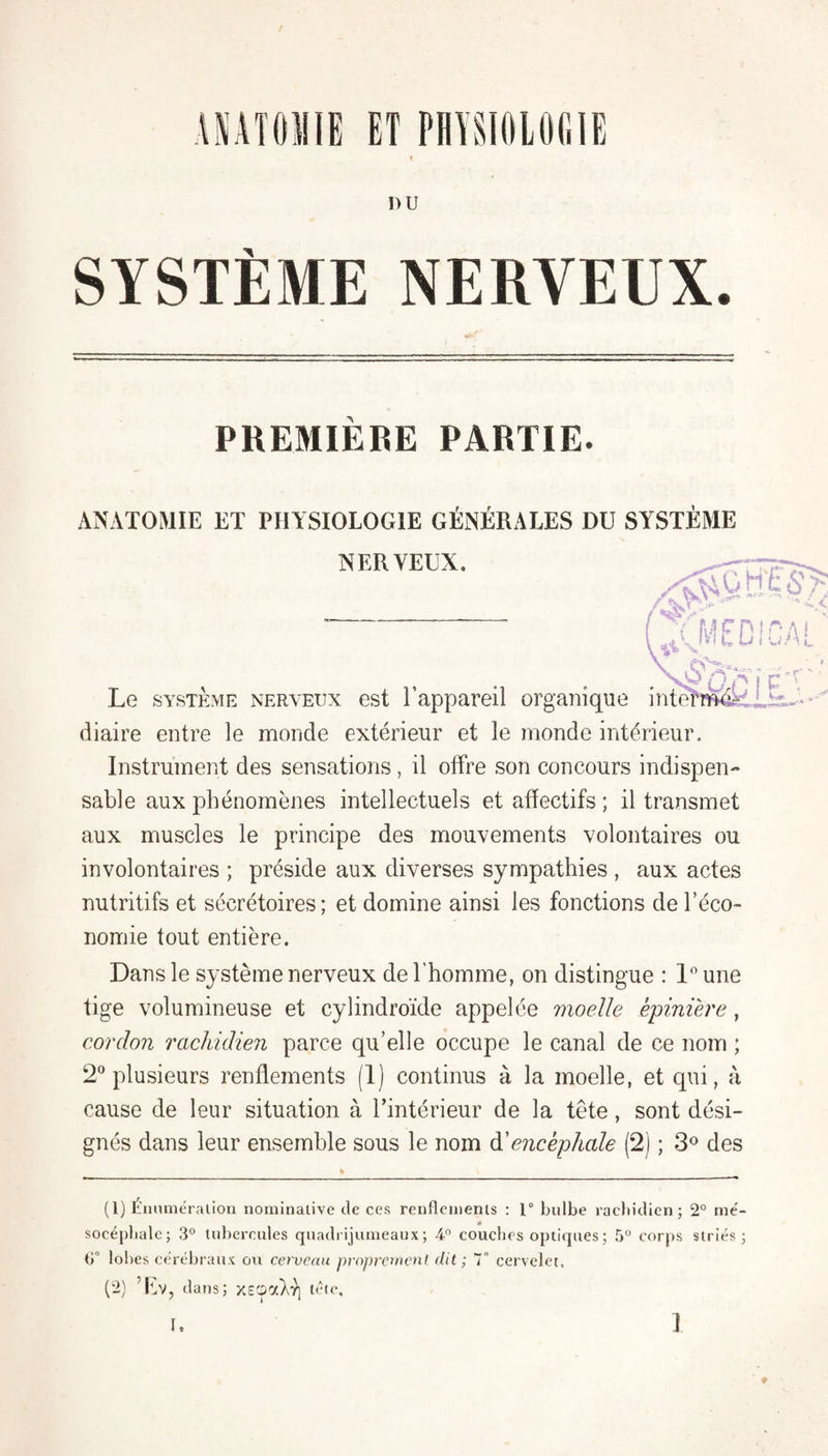 ET PHYS nu SYSTÈME NERVEUX PREMIERE PARTIE ANATOMIE ET PHYSIOLOGIE GENERALES DU SYSTEME NERVEUX. iOHtè' ,AM£D S ! I VJ.Mc. Le SYSTEME NERVEUX Gst l’appareil organique inteh^^ diaire entre le monde extérieur et le monde intérieur. Instrument des sensations , il offre son concours indispen¬ sable aux phénomènes intellectuels et affectifs ; il transmet aux muscles le principe des mouvements volontaires ou involontaires ; préside aux diverses sympathies , aux actes nutritifs et sécrétoires; et domine ainsi les fonctions de l’éco¬ nomie tout entière. Dans le système nerveux de l'homme, on distingue : 1” une tige volumineuse et cylindroïde appelée moelle épinière, cordon rachidien parce qu’elle occupe le canal de ce nom ; 2® plusieurs renflements (1) continus à la moelle, et qui, à cause de leur situation à l’intérieur de la tête, sont dési¬ gnés dans leur ensemble sous le nom à!encéphale (2) ; 3*^ des P \ (1) Éiinméralion nominative de ces renflements : 1° bulbe racbidien; 2° me'- socépbale; 3° tuberenles quadrijumeaux; 4” couches optiques ; 5 corps striés; b lobes céréliraux ou cerveau proprement dit ; 7 cervelet, (2) ’biv, dans; X£Çi7.}v-^ télé. t